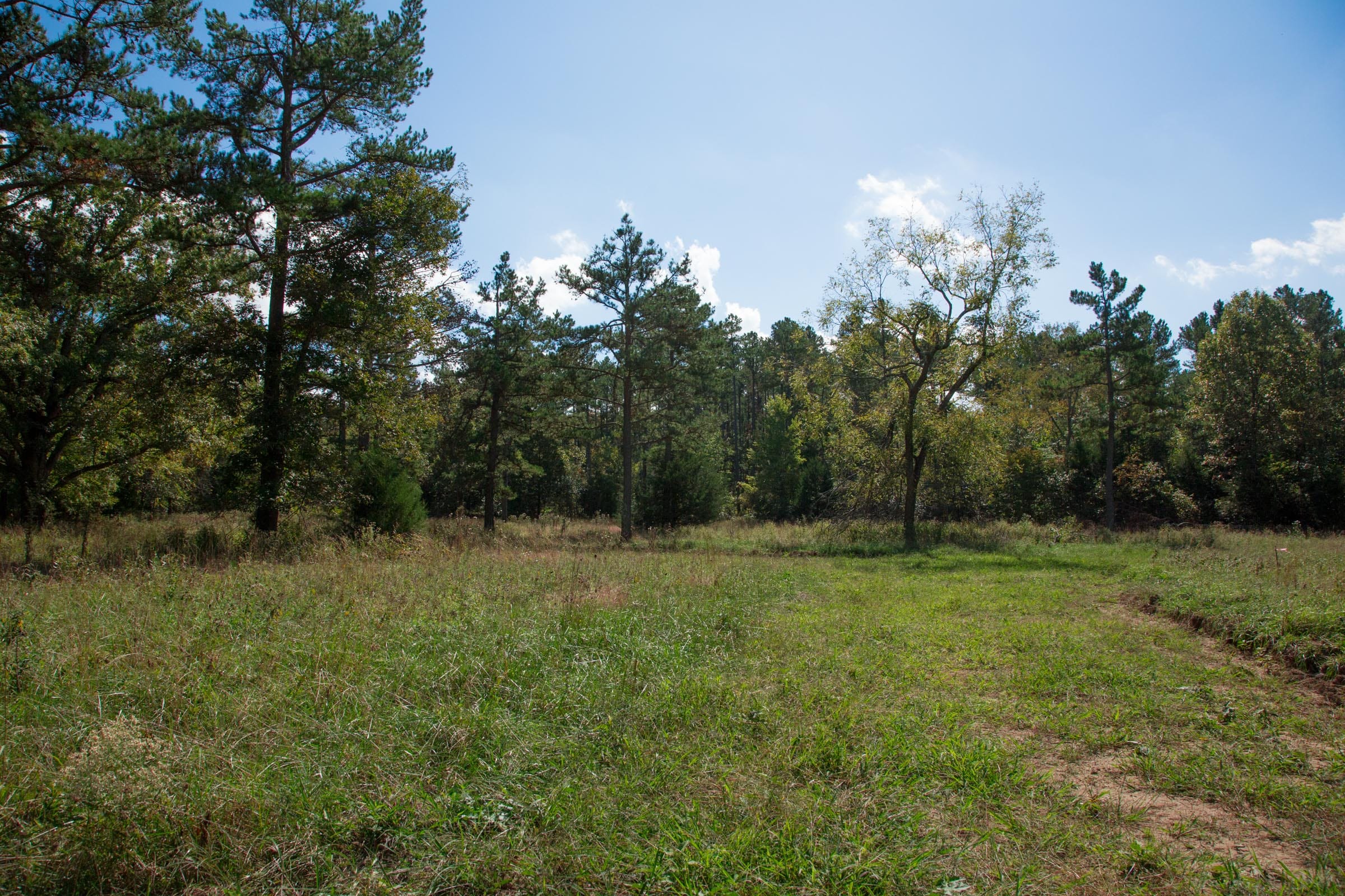 Wagon Wheel Ranch Tract 38 photo 21