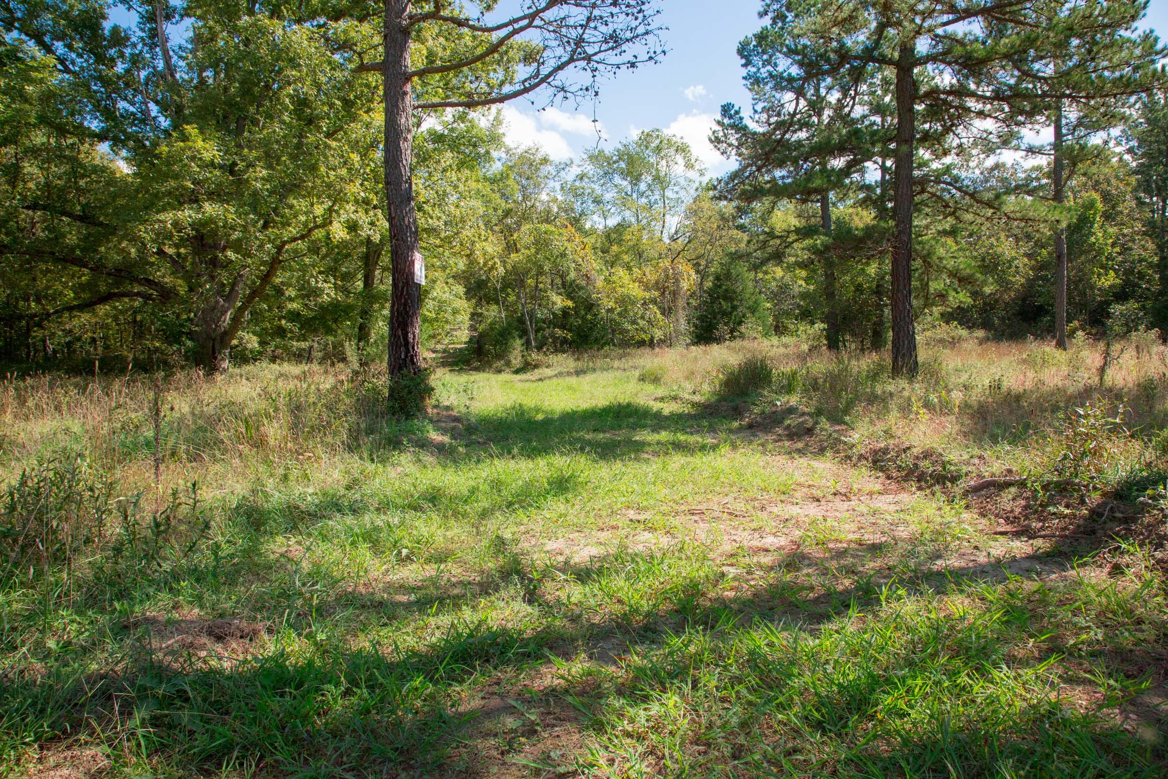 Wagon Wheel Ranch Tract 38 photo 22
