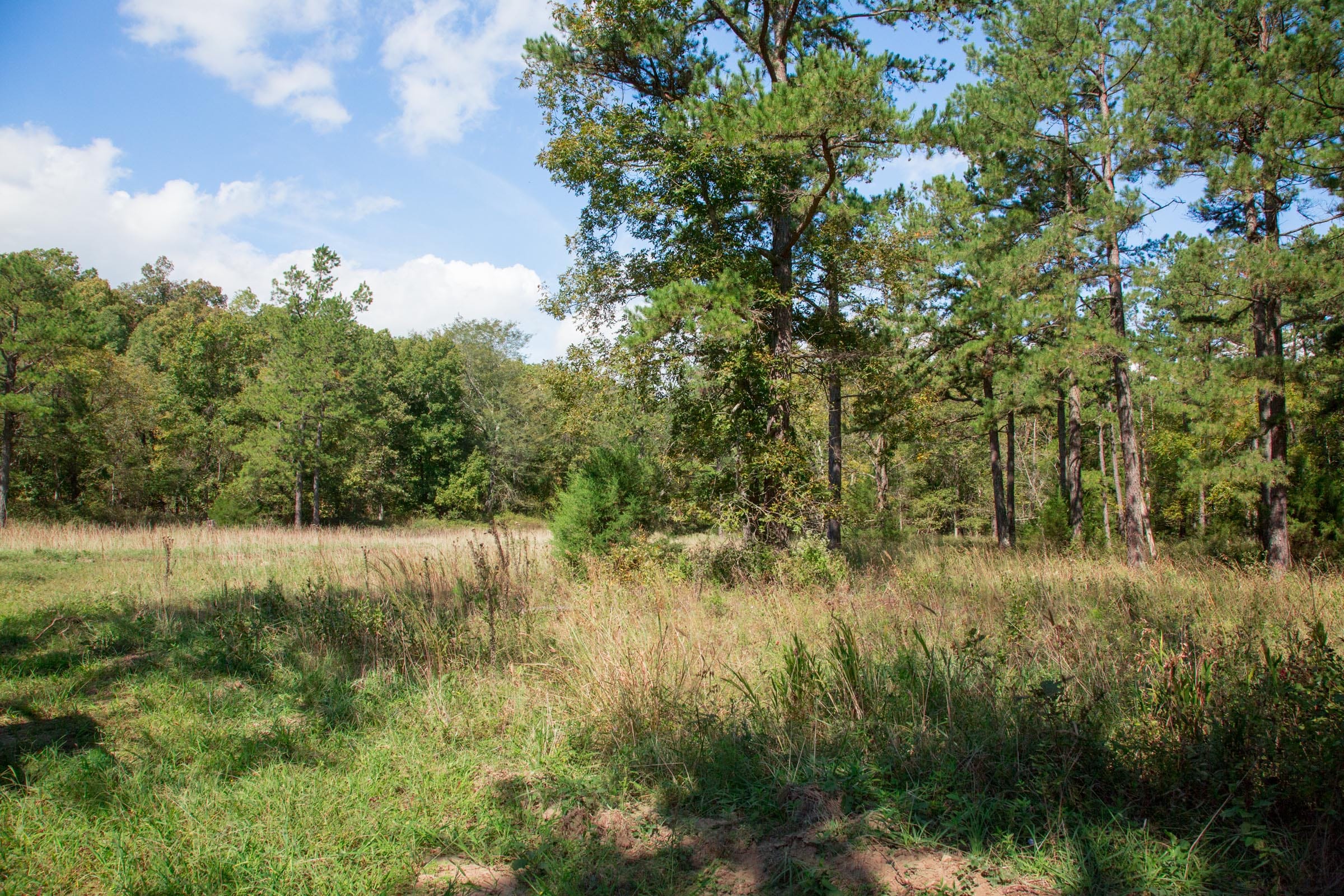 Wagon Wheel Ranch Tract 38 photo 24