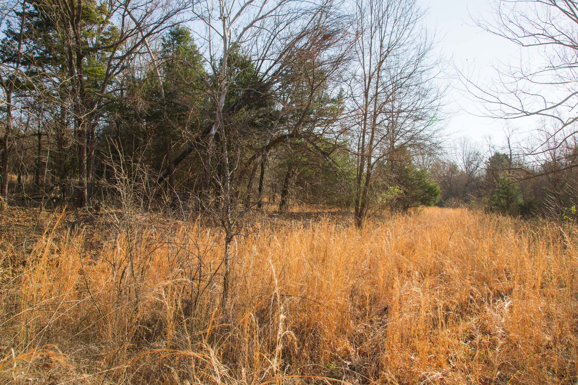 Eufaula Cove Tract 21 photo 2
