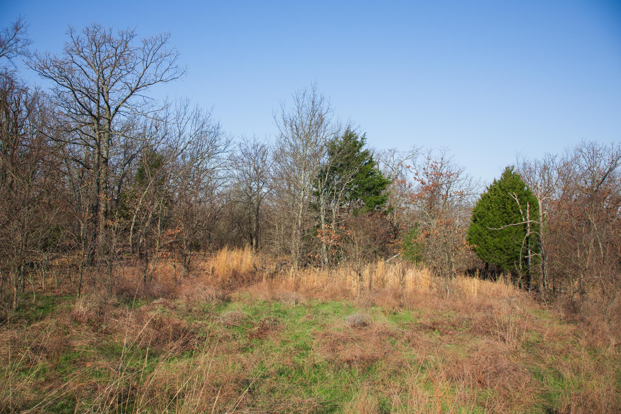 Eufaula Cove Tract 21 photo 4