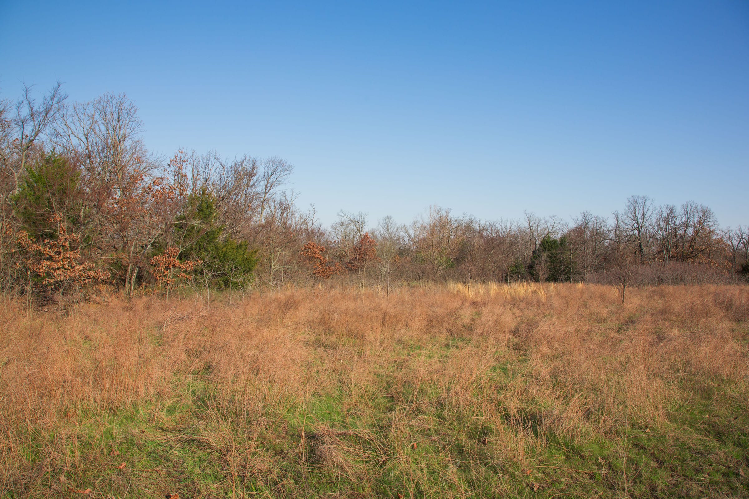 Eufaula Cove Tract 21 photo 5