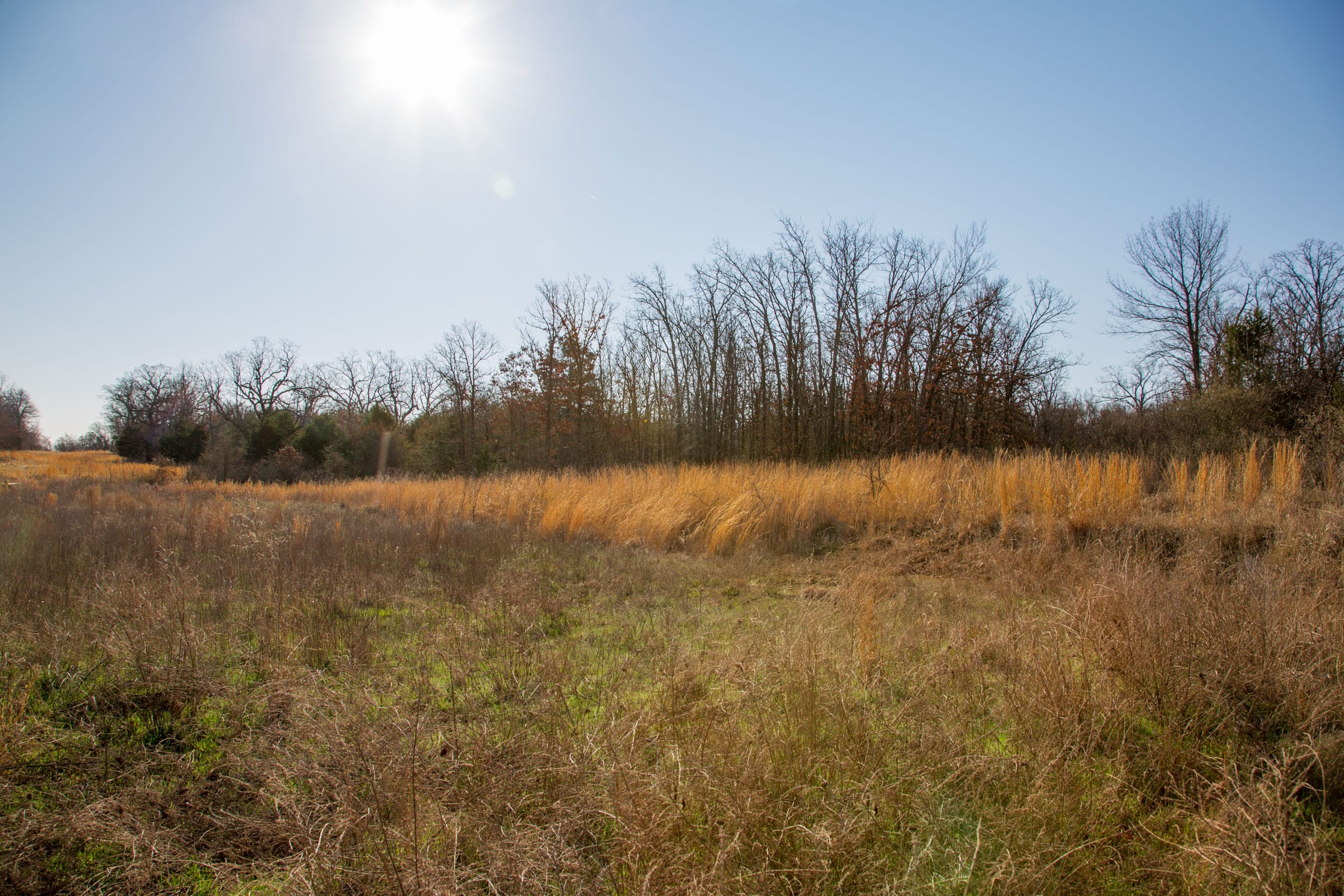 Eufaula Cove Tract 21 photo 6