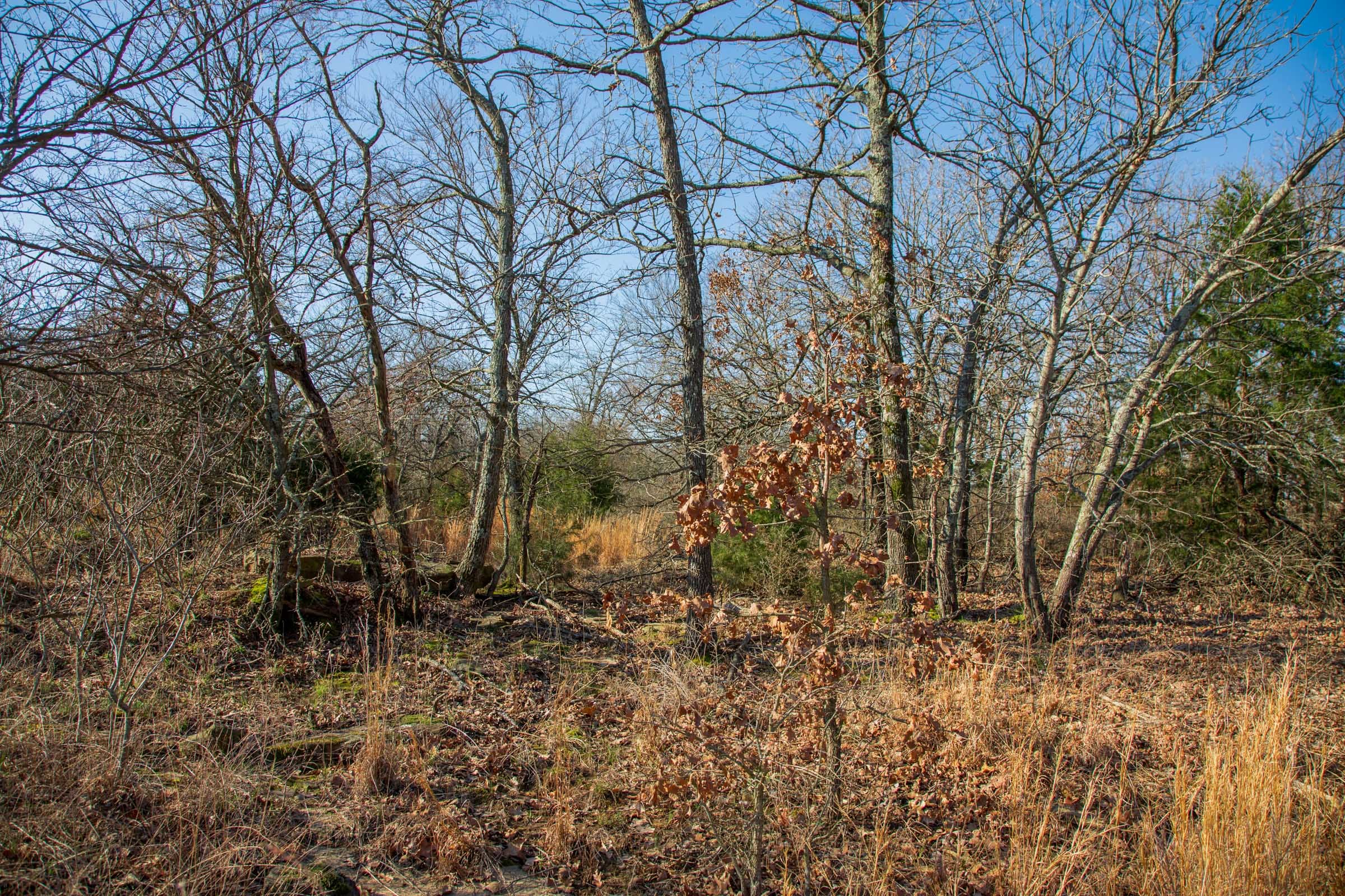 Eufaula Cove Tract 21 photo 9