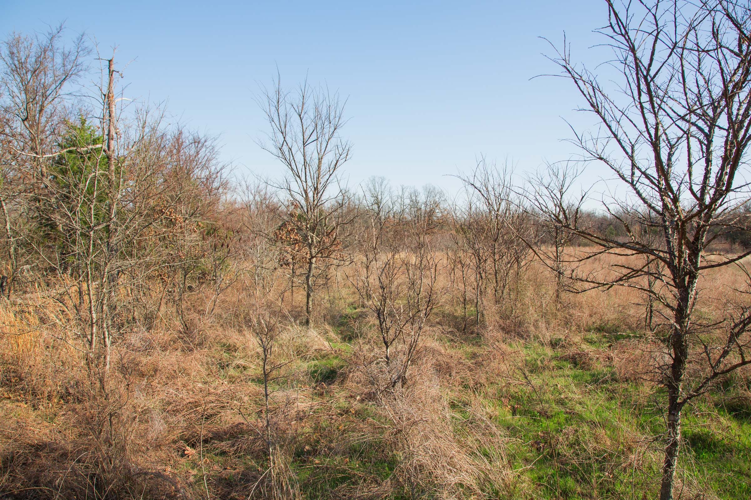 Eufaula Cove Tract 21 photo 10