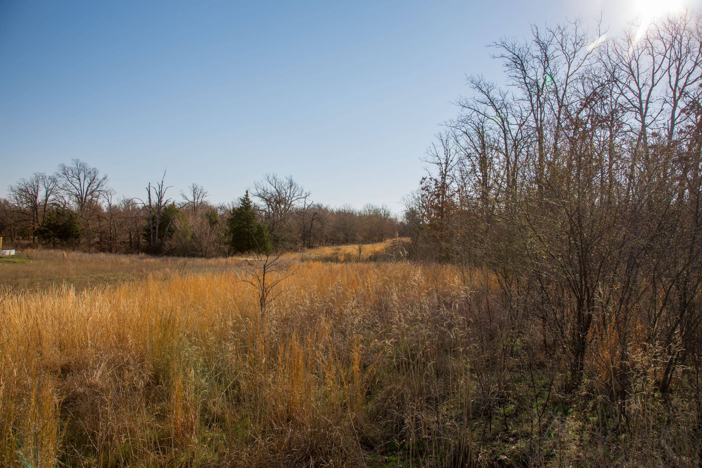 Eufaula Cove Tract 21 photo 11