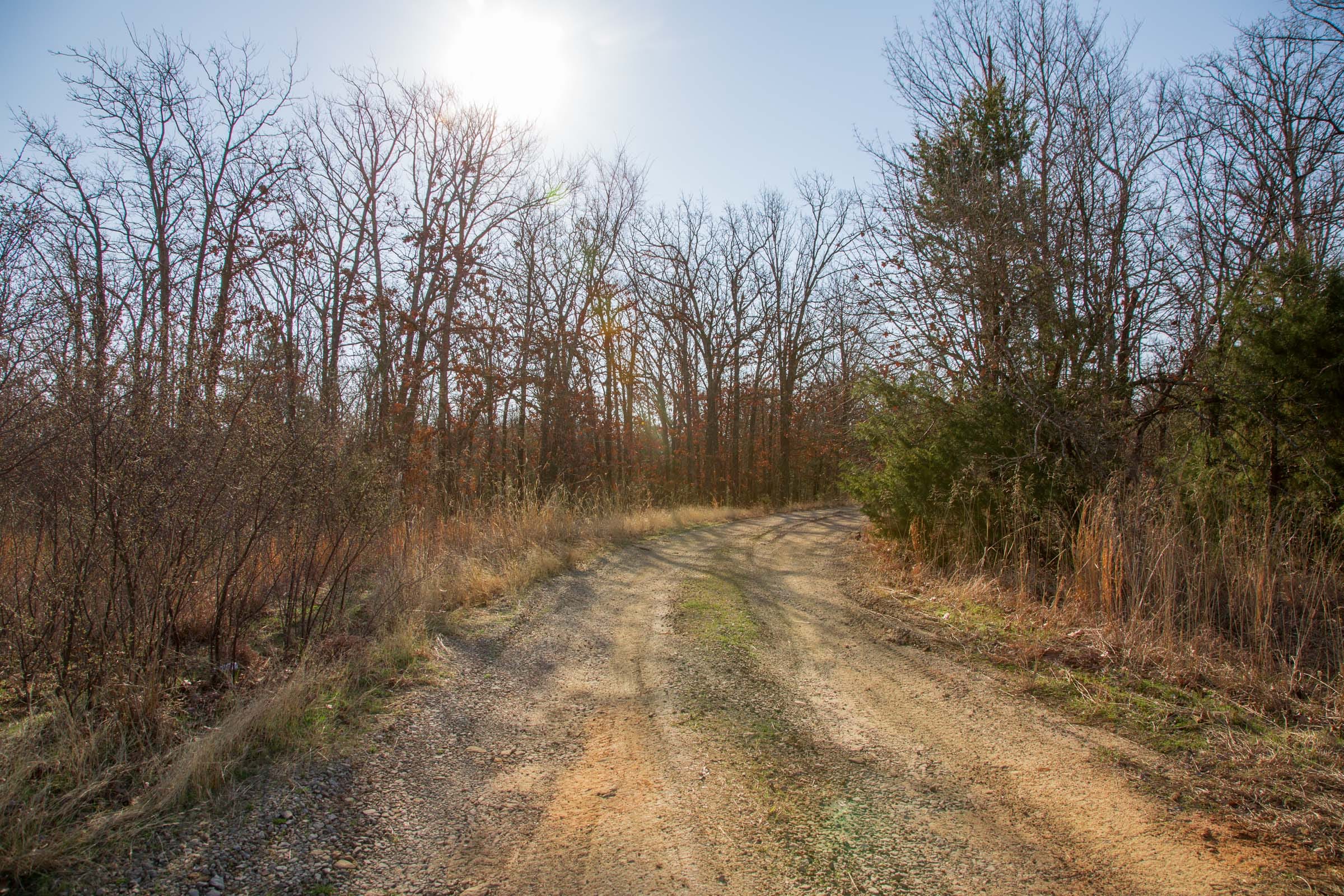 Eufaula Cove Tract 21 photo 12