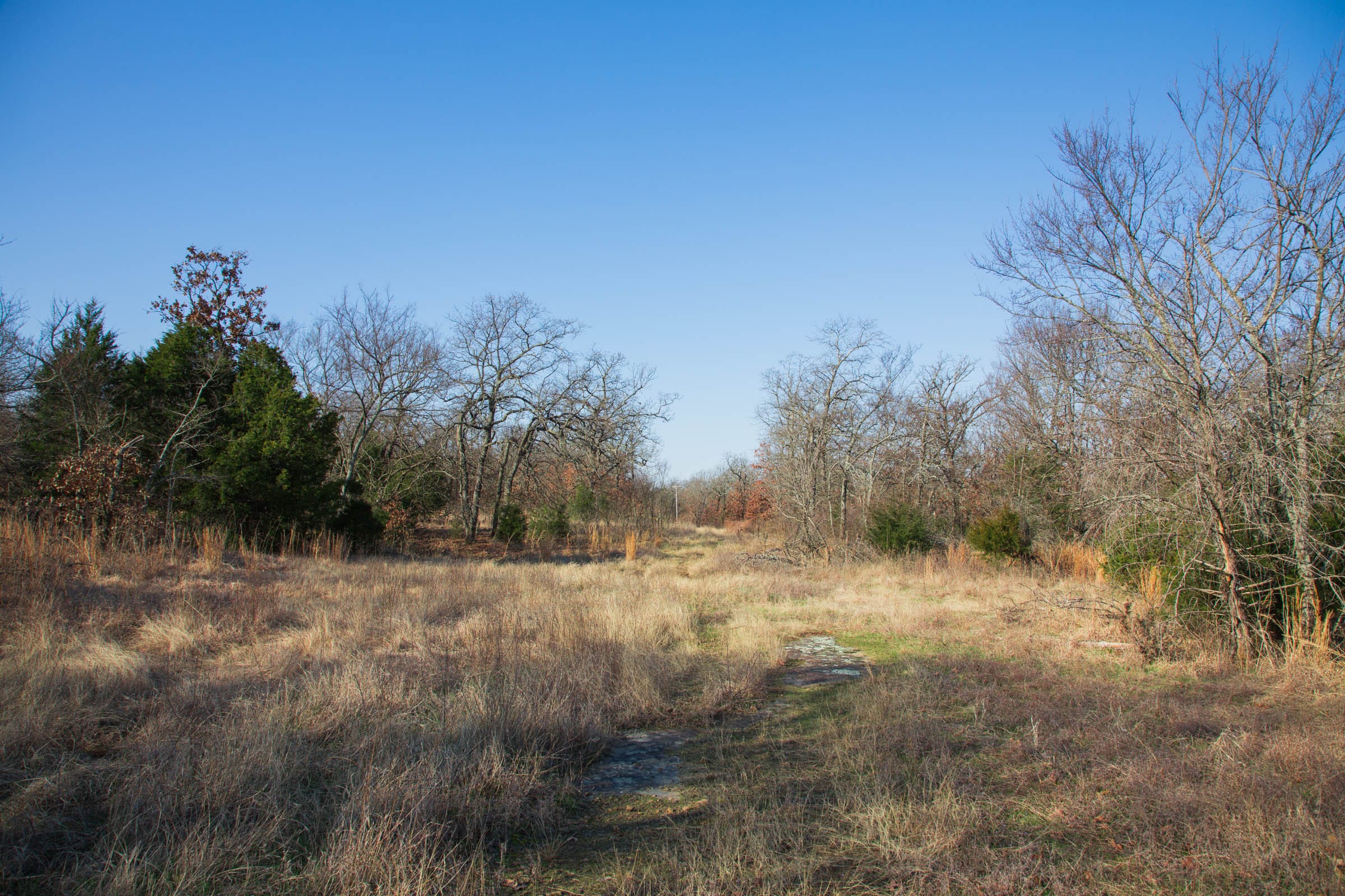 Eufaula Cove Tract 21 photo 13