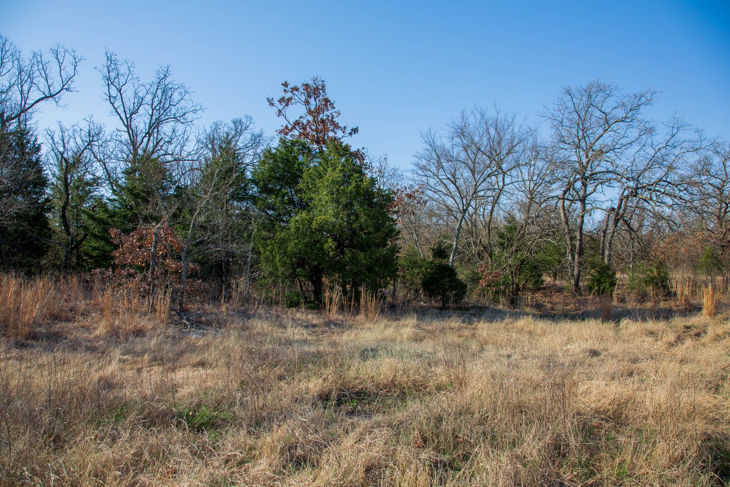 Eufaula Cove Tract 21 photo 14