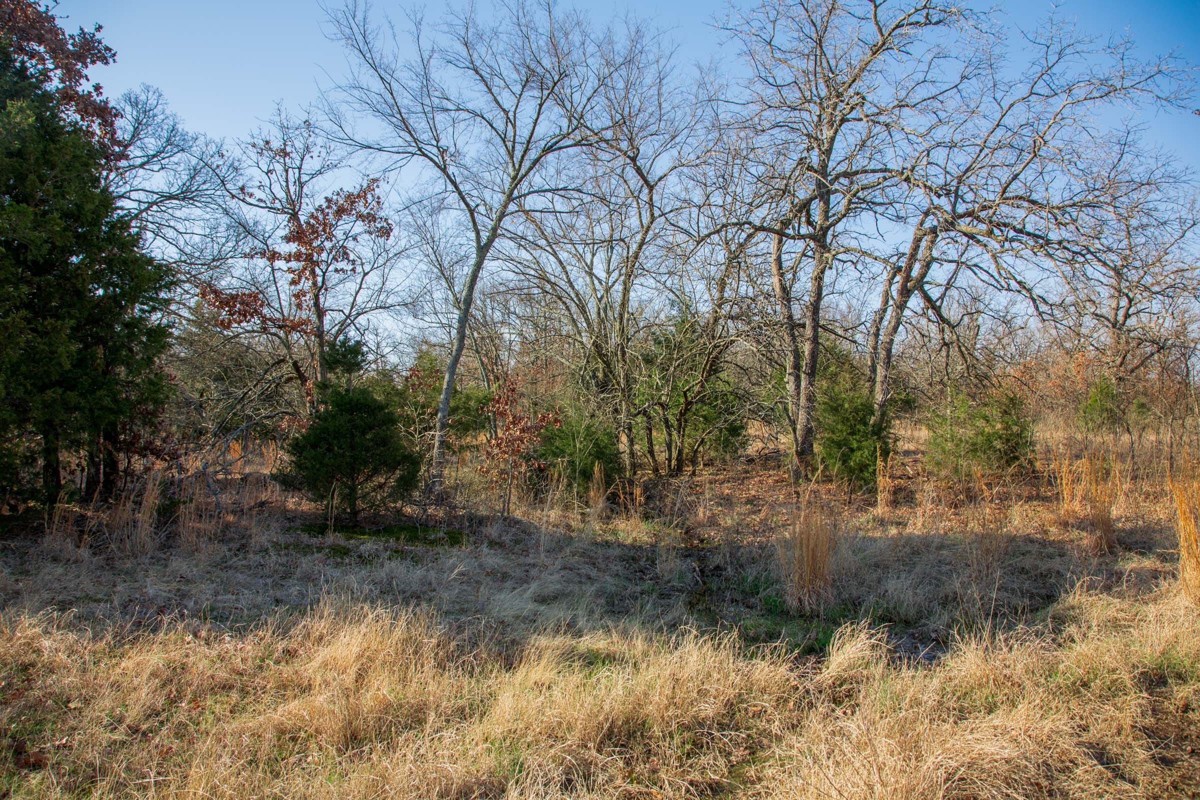 Eufaula Cove Tract 21 photo 15
