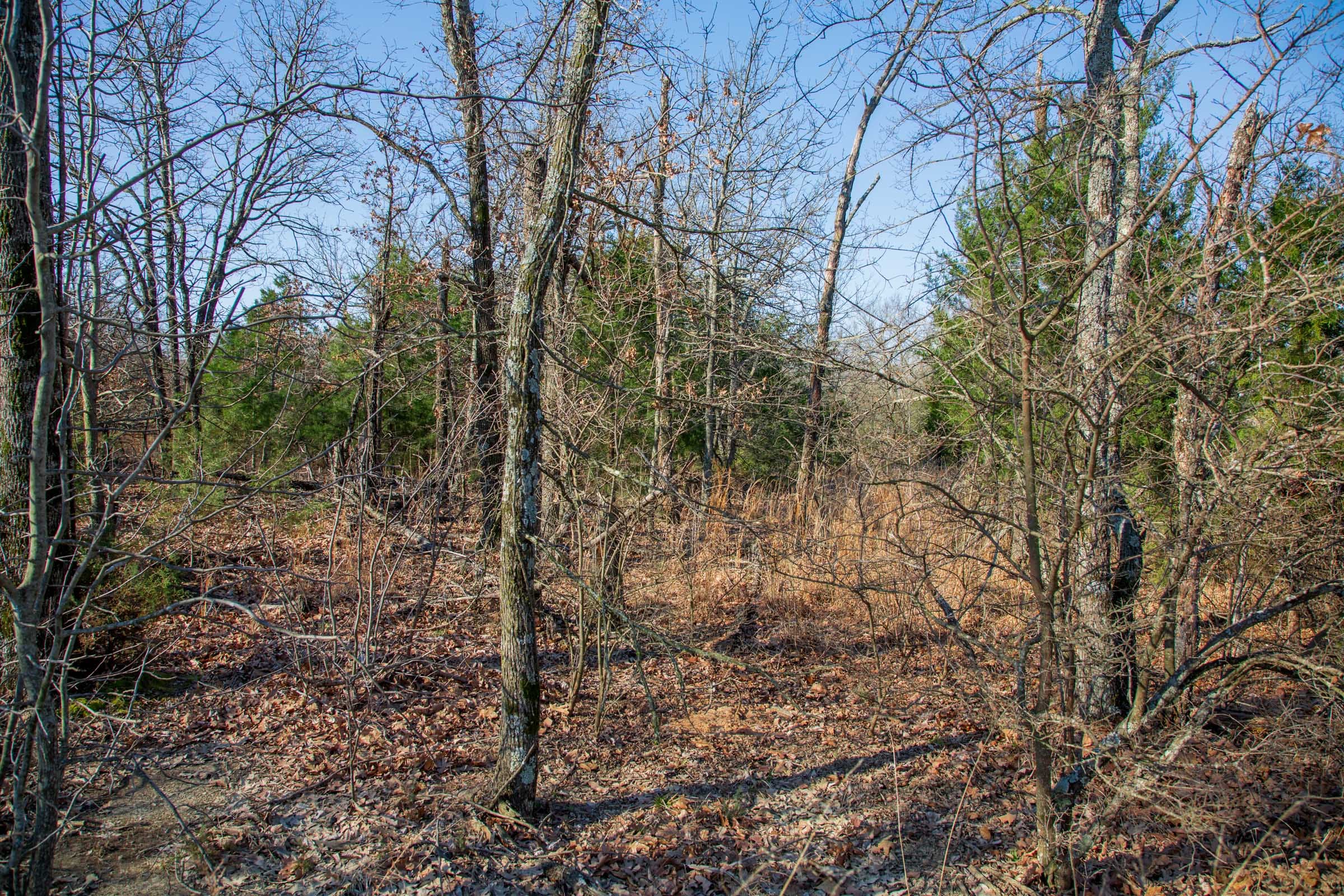 Eufaula Cove Tract 21 photo 17