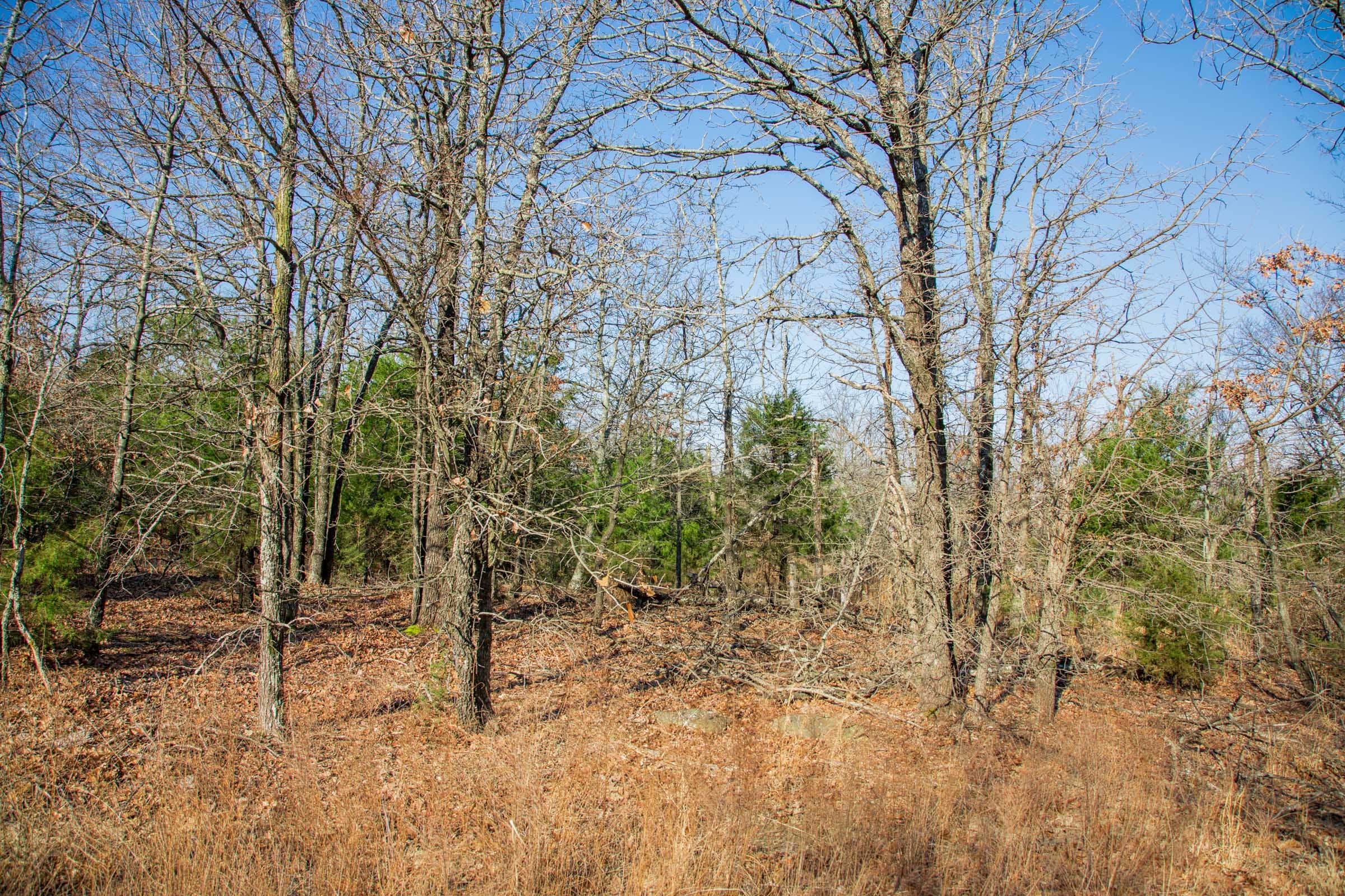 Eufaula Cove Tract 21 photo 19