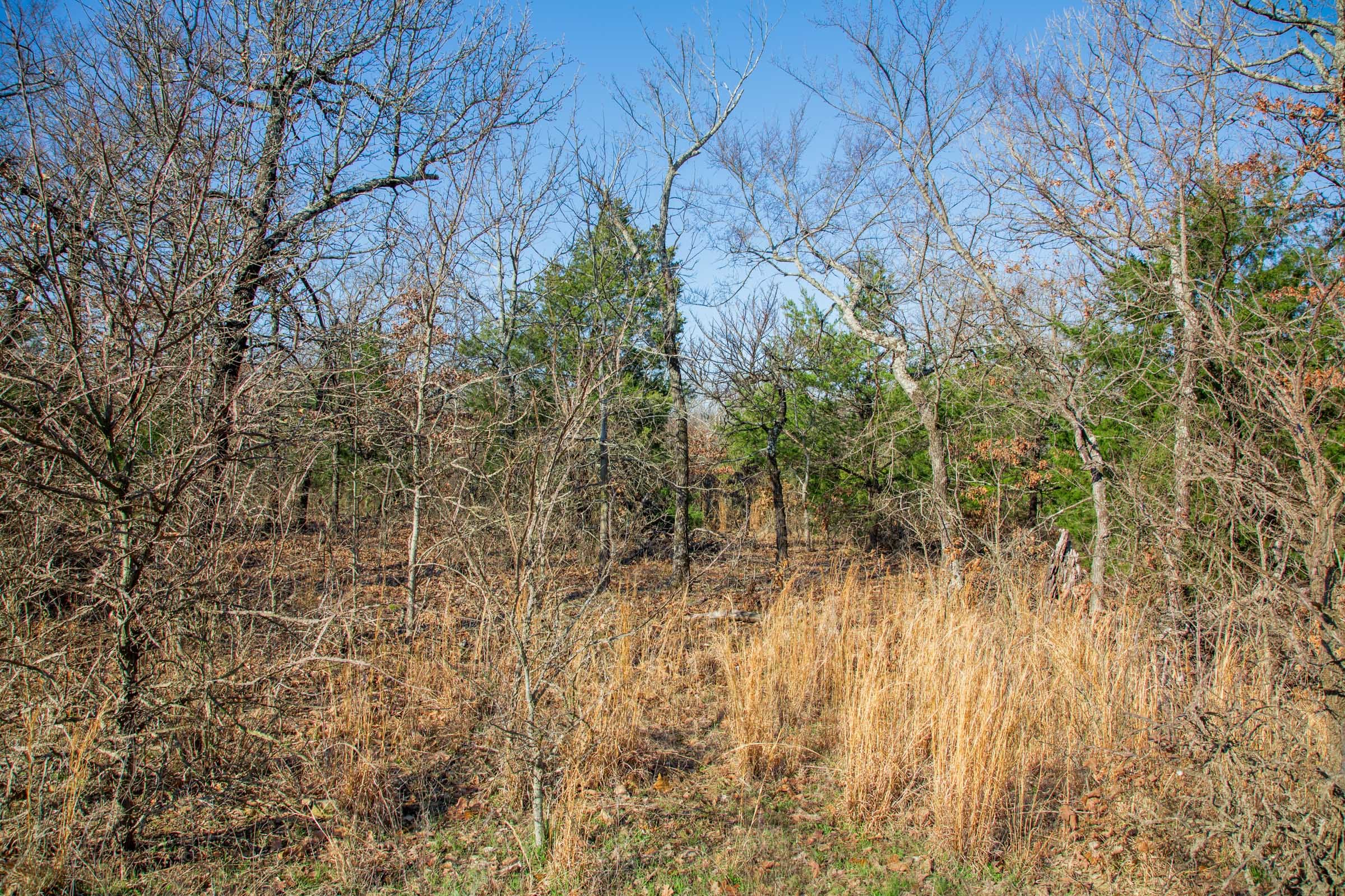 Eufaula Cove Tract 21 photo 22