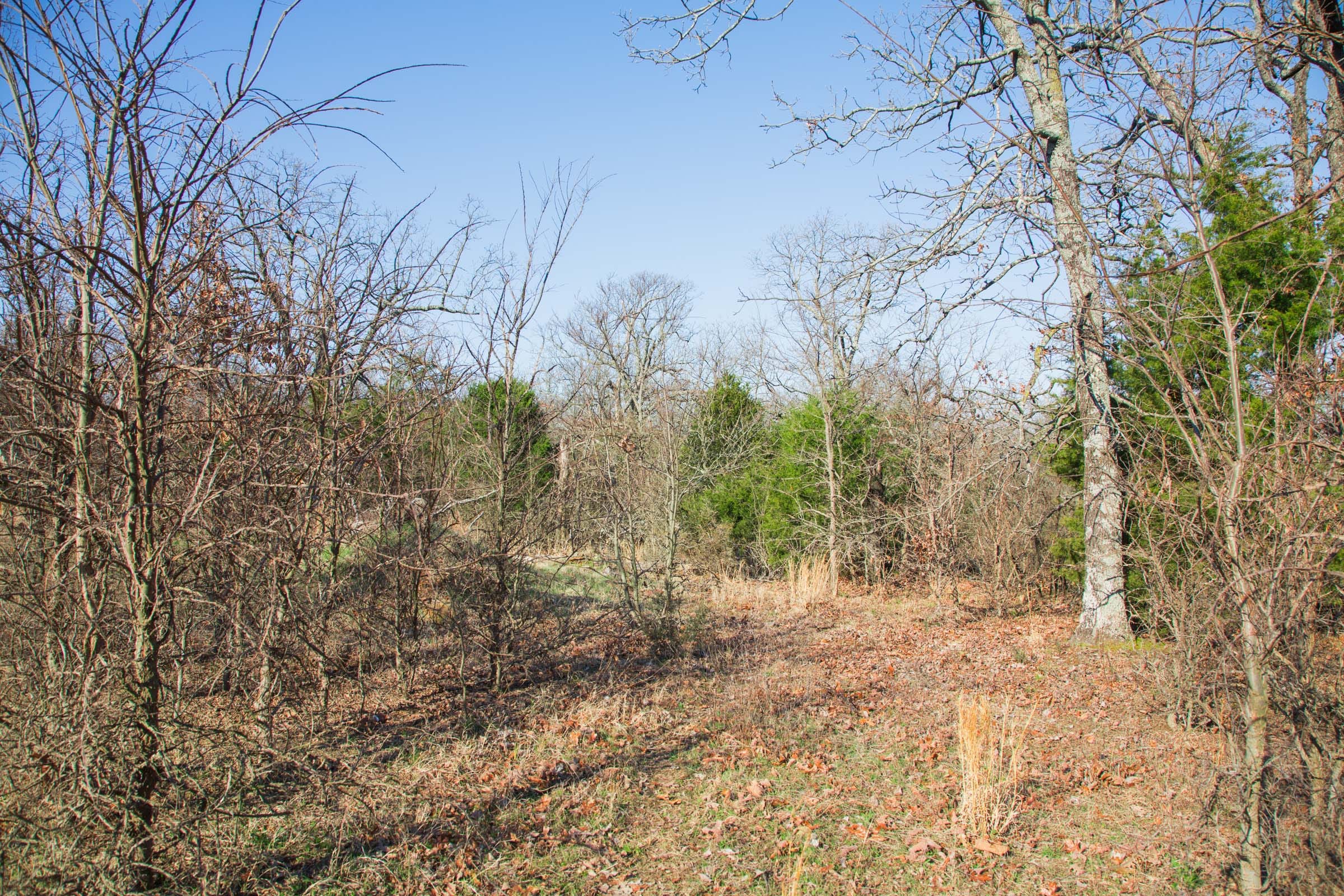 Eufaula Cove Tract 21 photo 23