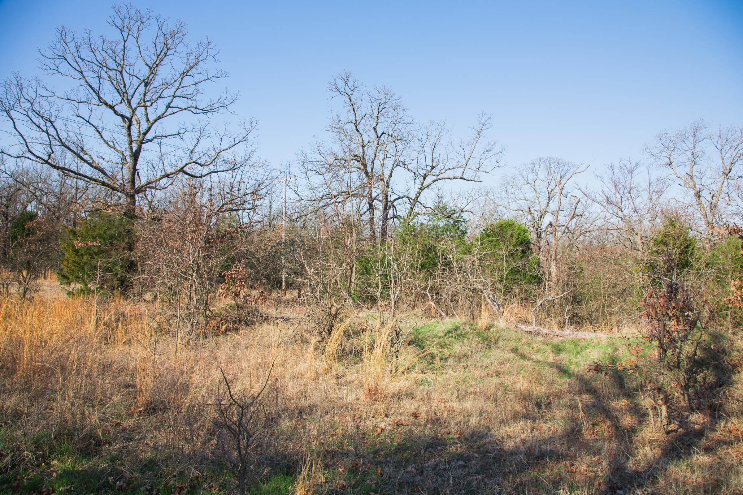 Eufaula Cove Tract 21 photo 24