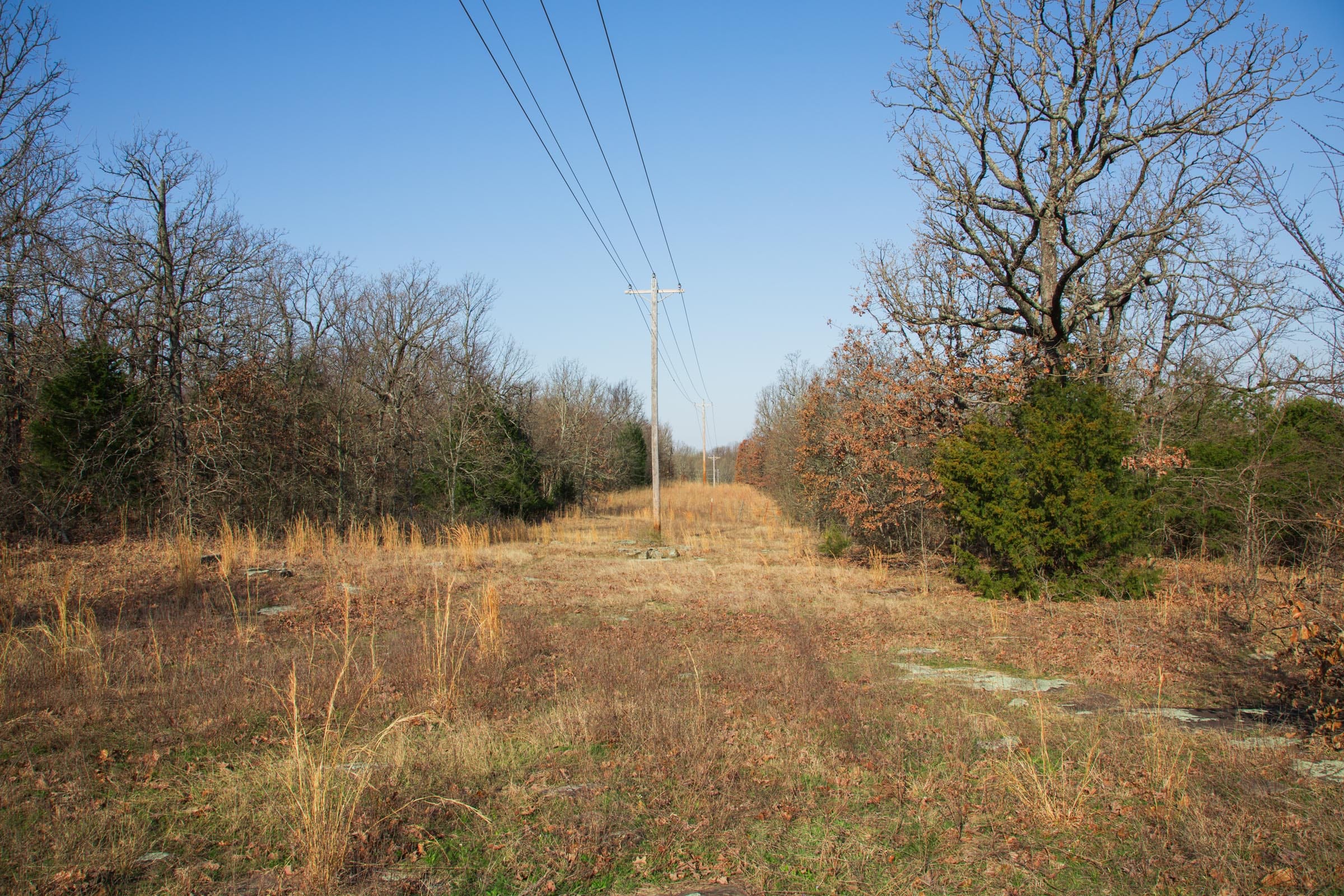 Eufaula Cove Tract 21 photo 25