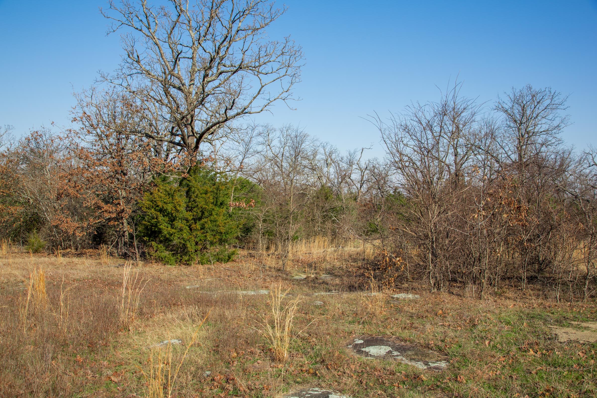 Eufaula Cove Tract 21 photo 26