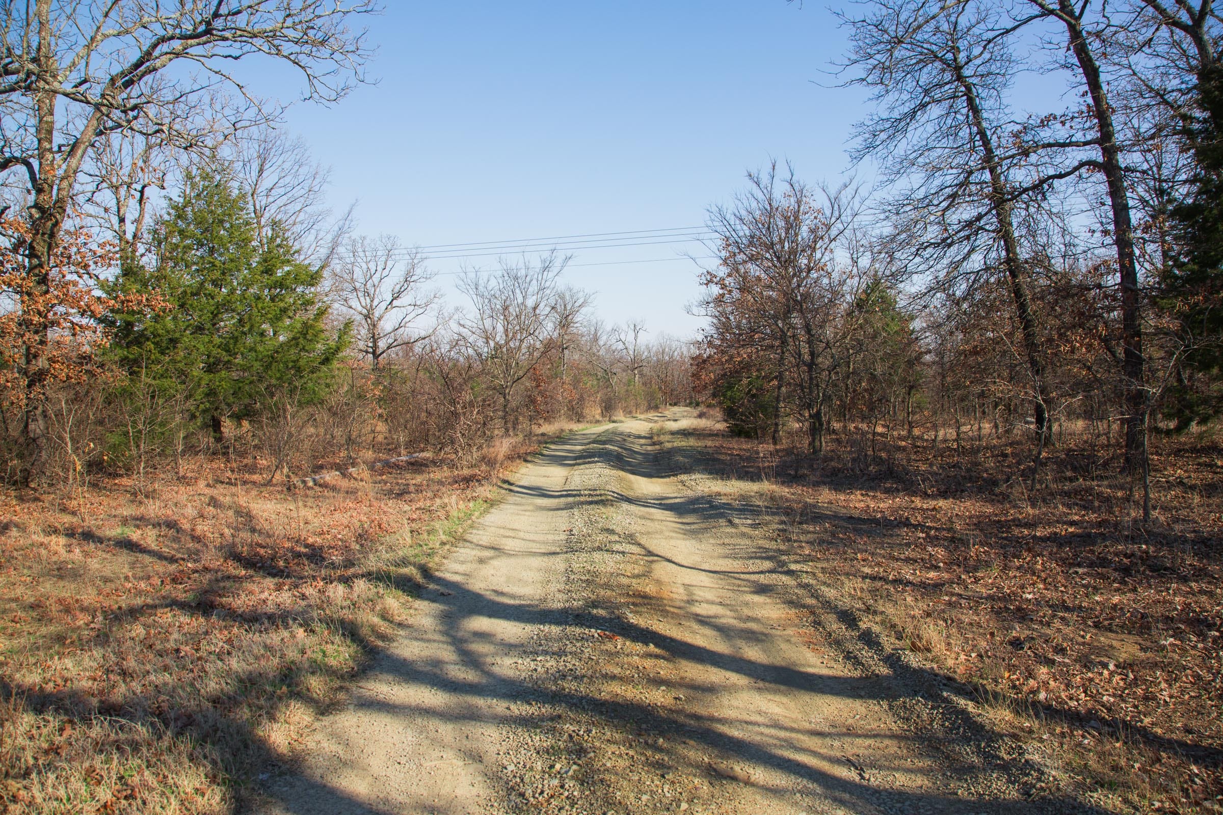 Eufaula Cove Tract 21 photo 27