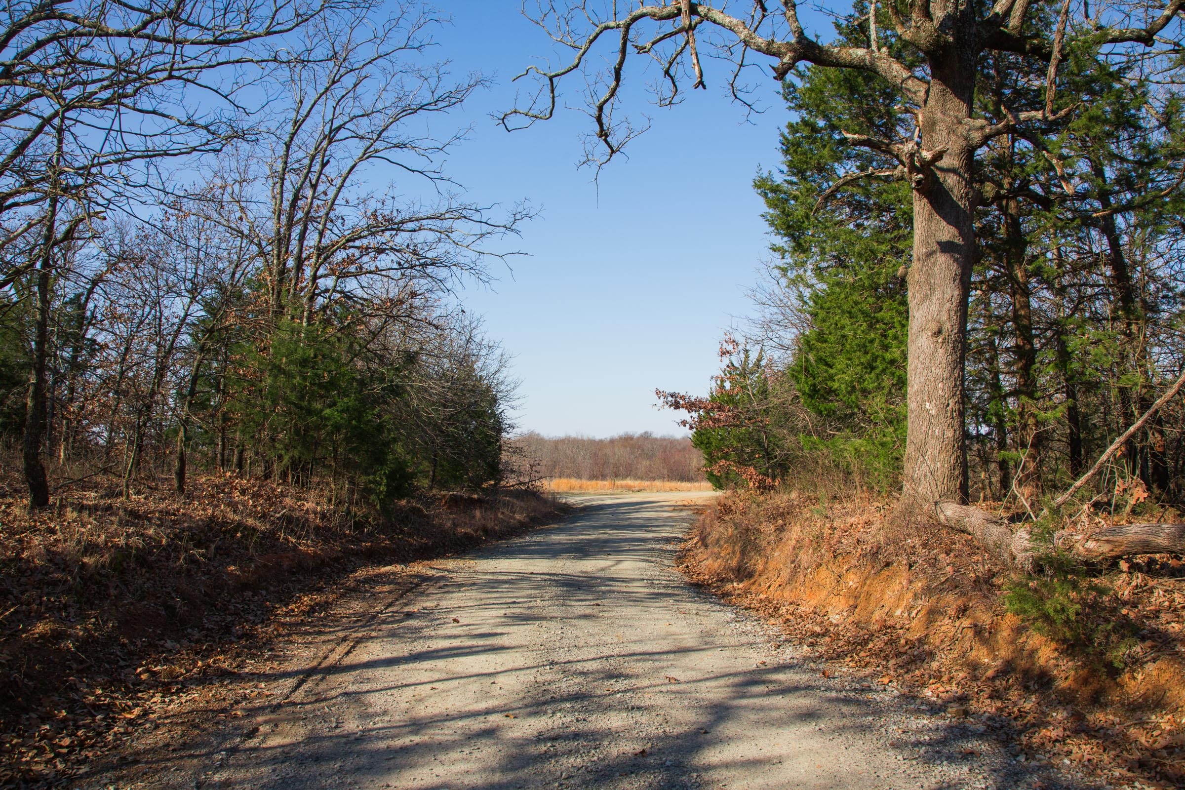 Eufaula Cove Tract 21 photo 28