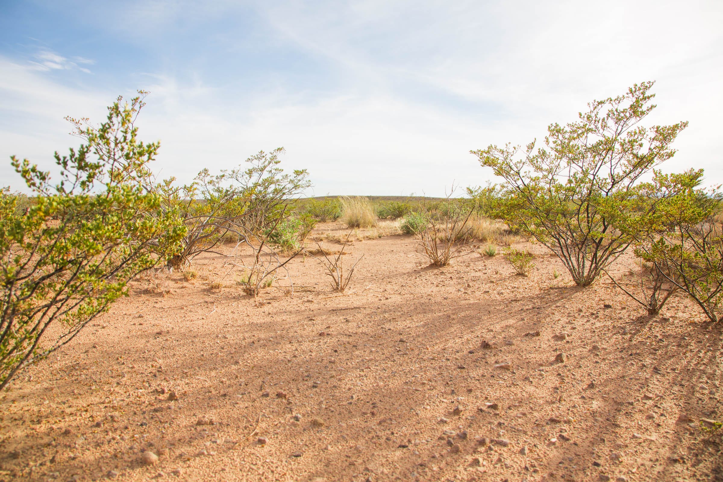 Sunset Ranches Tract 17 photo 8