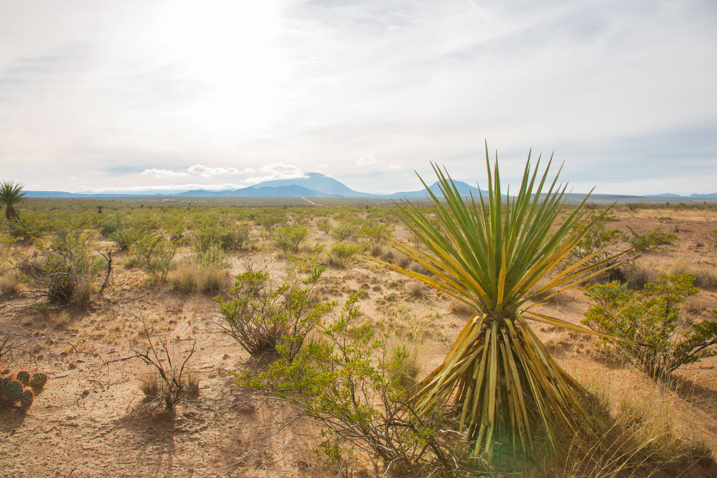 Sunset Ranches Tract 17 photo 9