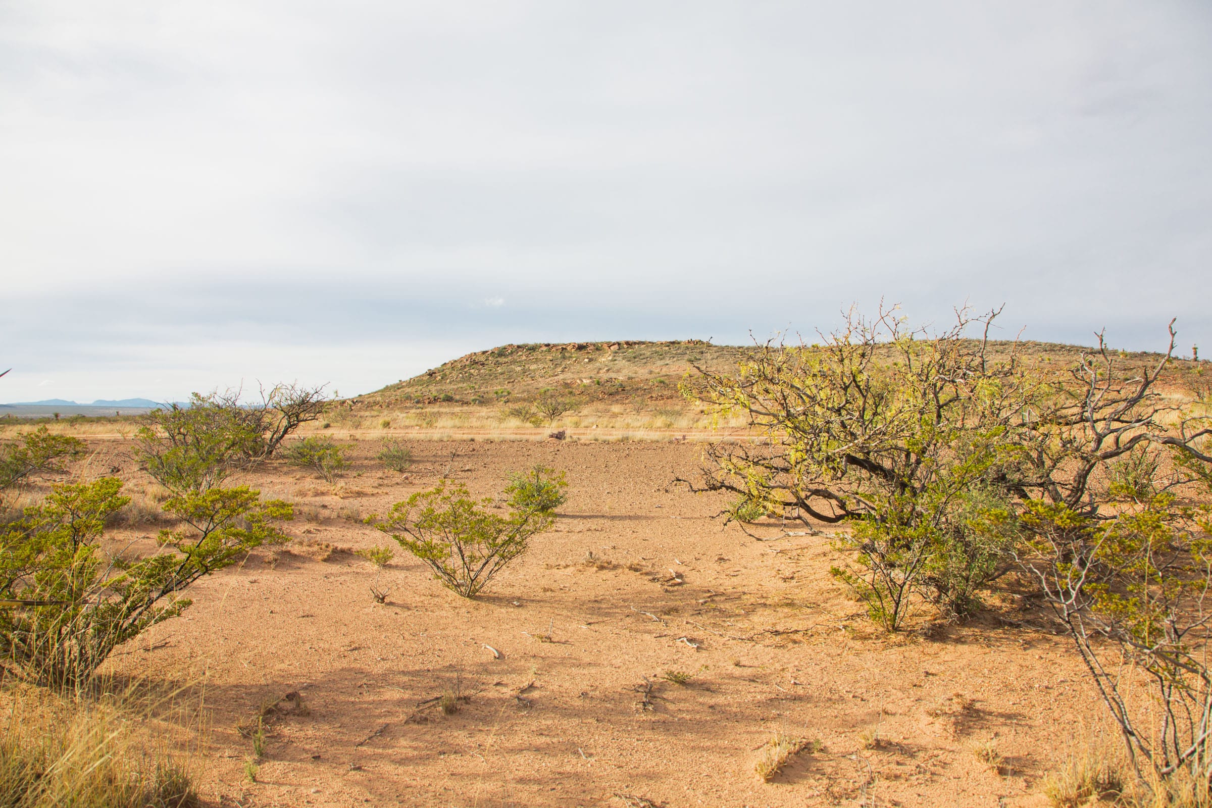 Sunset Ranches Tract 17 photo 11