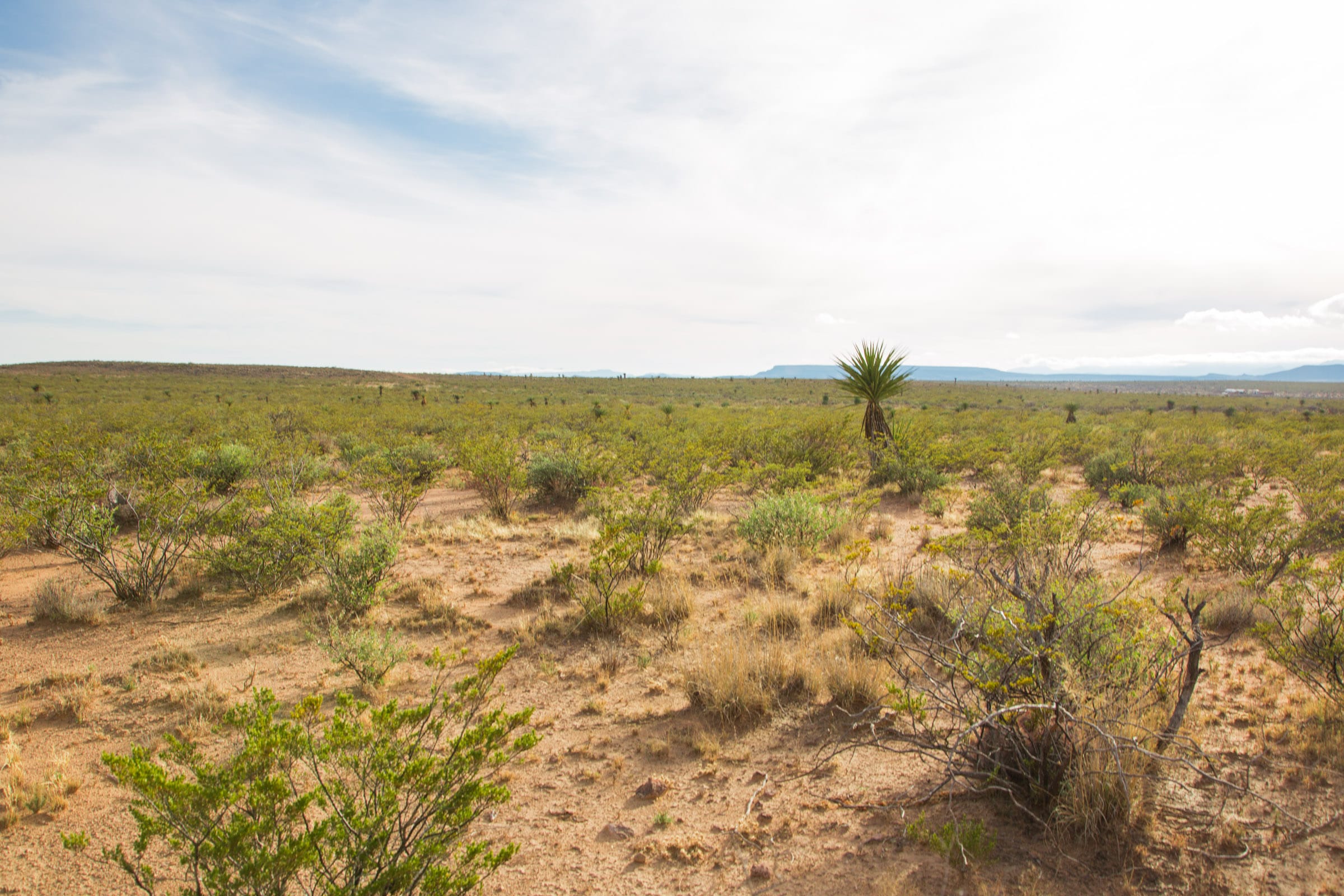 Sunset Ranches Tract 17 photo 12