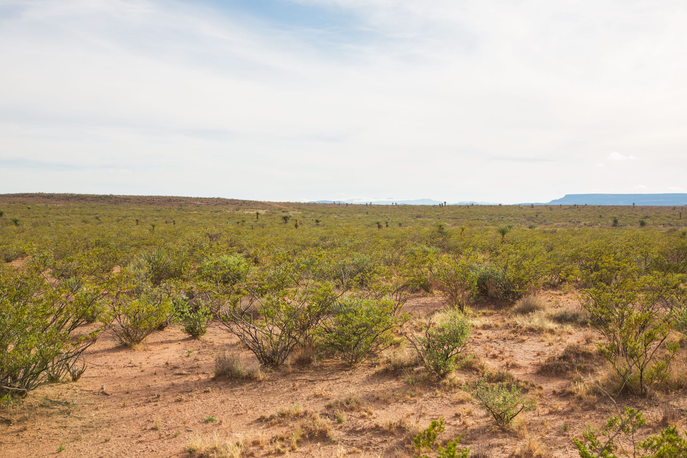Sunset Ranches Tract 17 photo 13