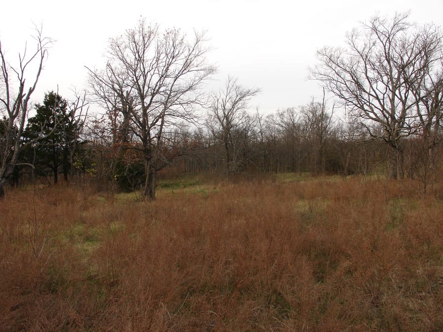 Mountain View Ranch Tract 7 photo 3