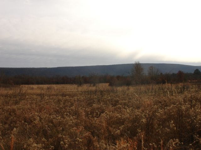 Mountain View Ranch Tract 7 photo 7