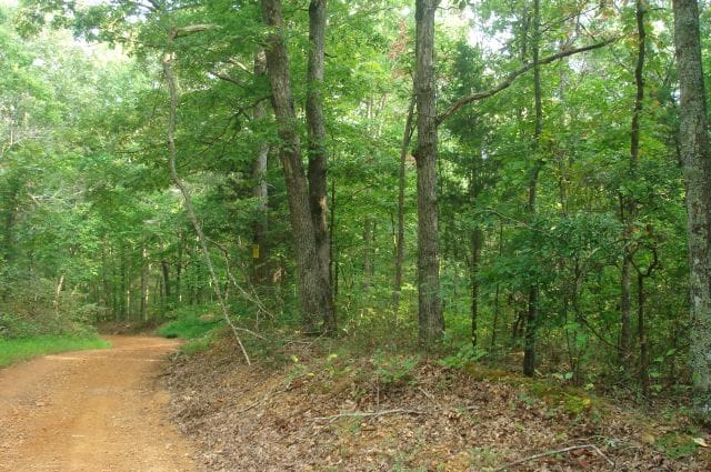 Sugartree Falls Tract 5 photo 1