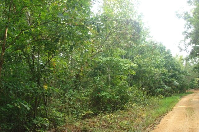 Sugartree Falls Tract 5 photo 4