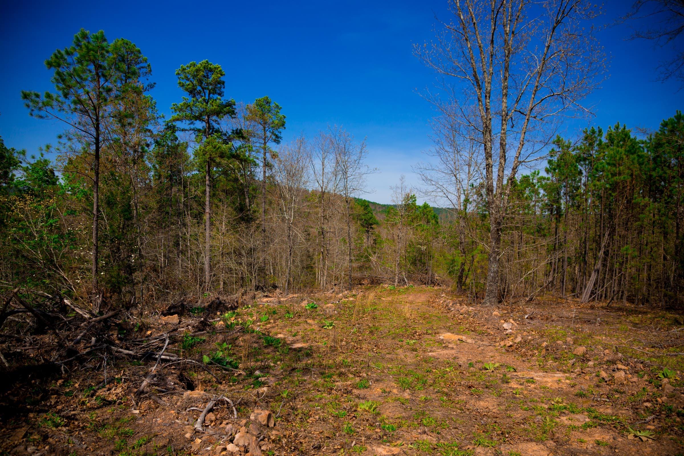 Stone Creek Phase II Tract 223 photo 9