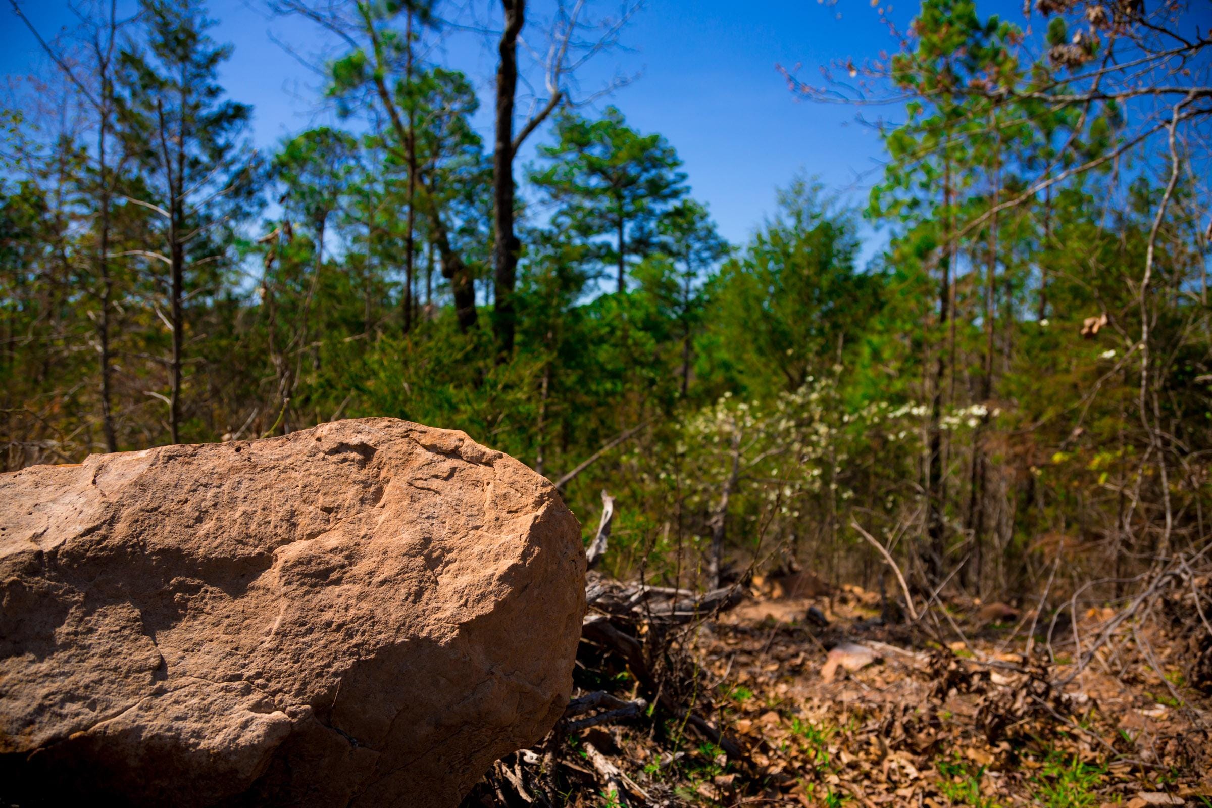 Stone Creek Phase II Tract 223 photo 11