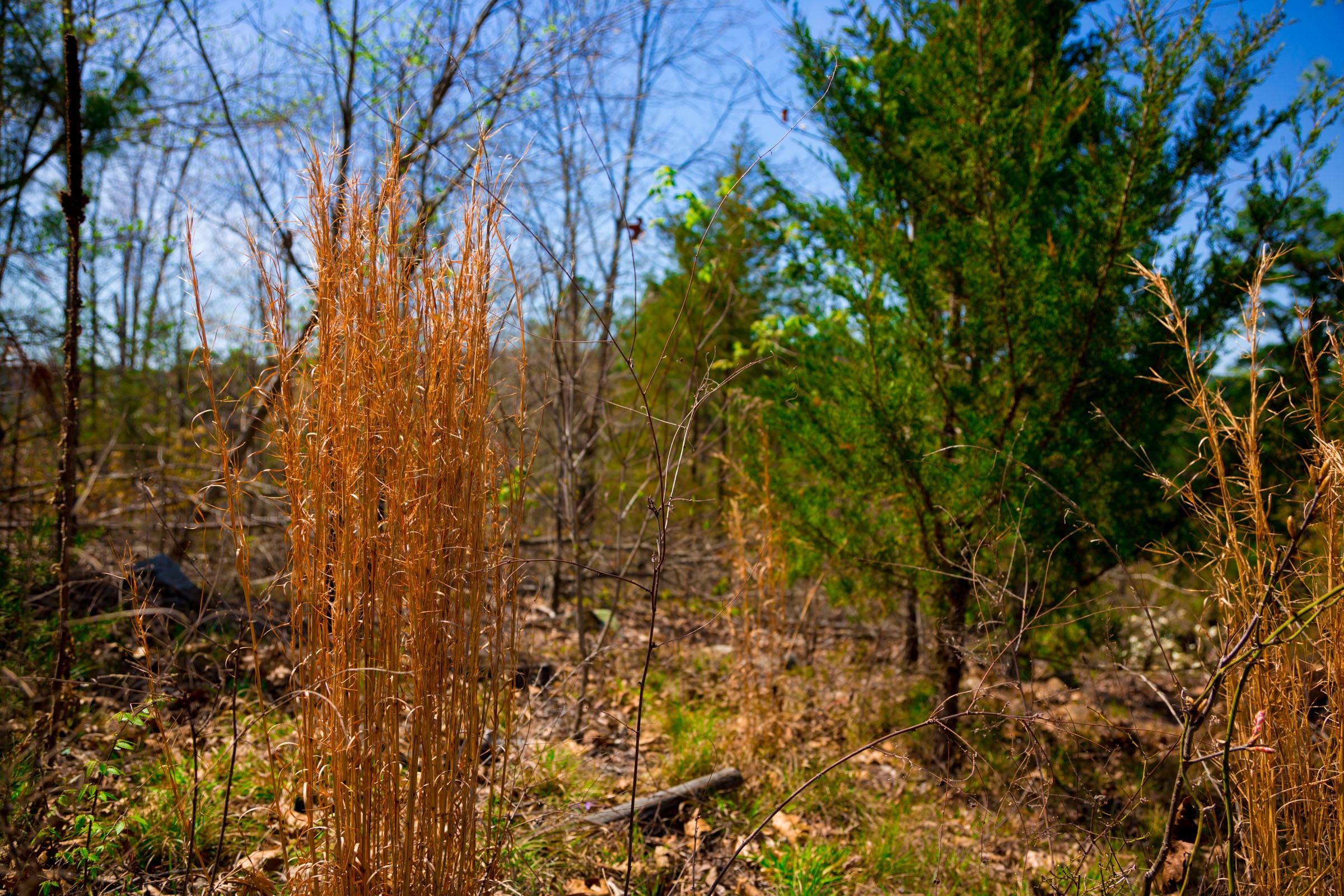 Stone Creek Phase II Tract 223 photo 13