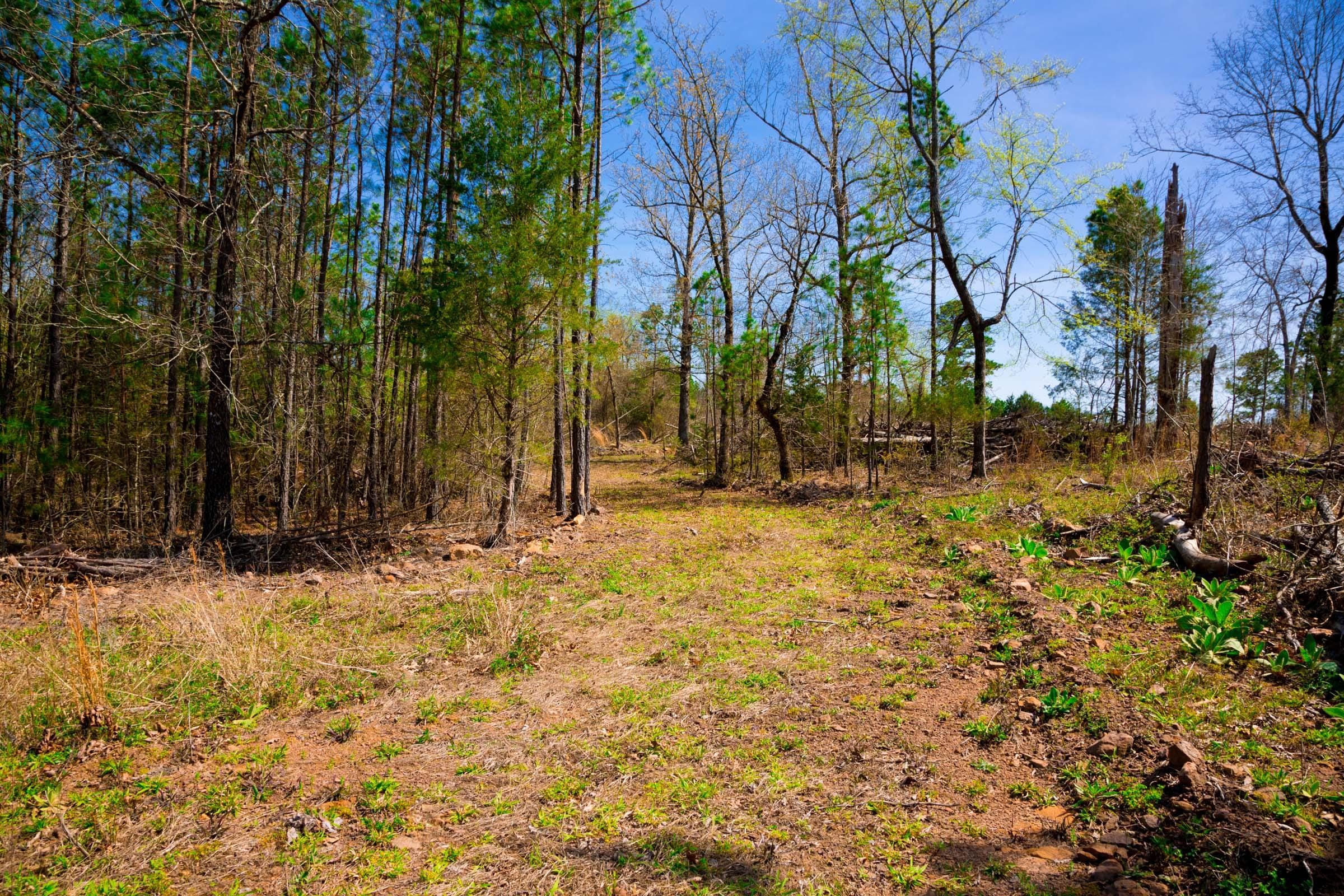 Stone Creek Phase II Tract 223 photo 14
