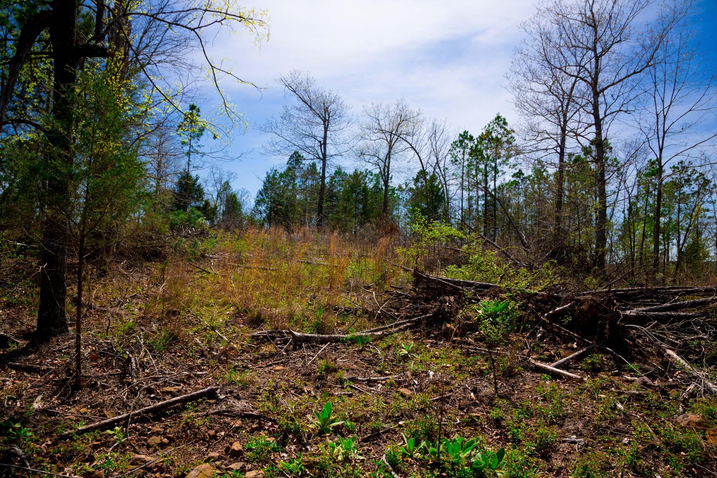 Stone Creek Phase II Tract 223 photo 15