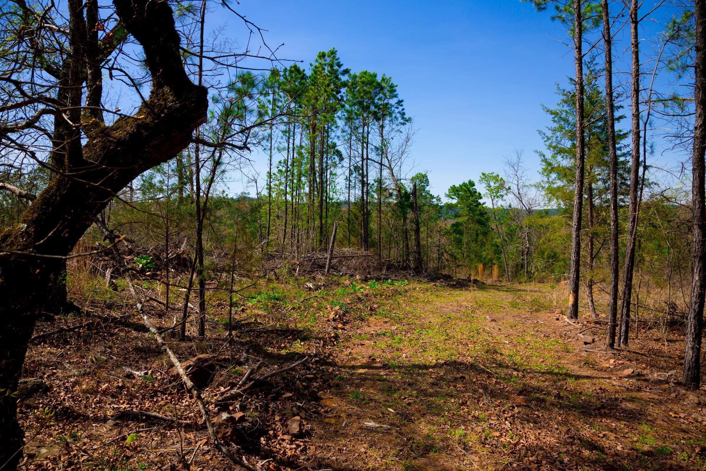 Stone Creek Phase II Tract 223 photo 16