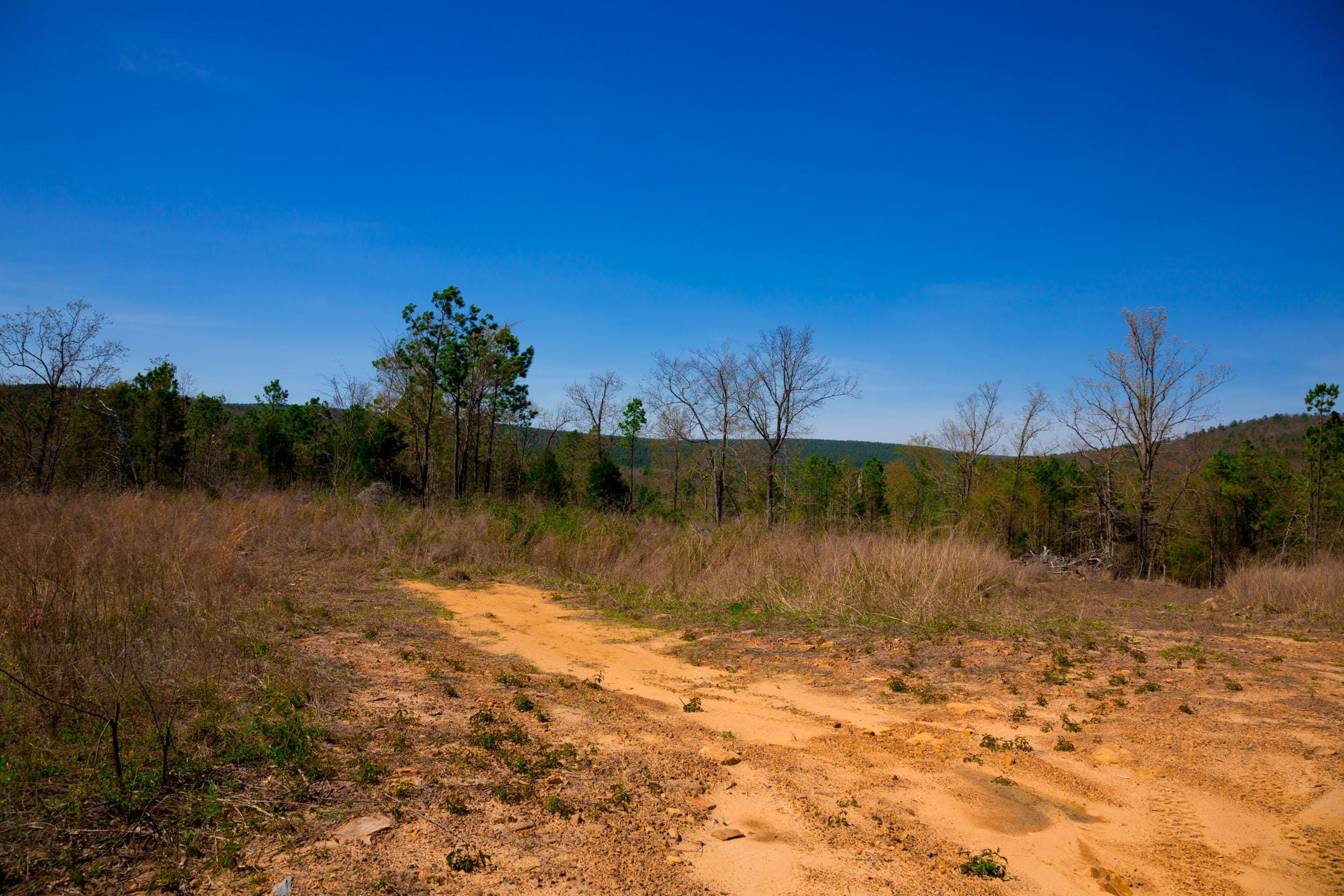 Stone Creek Phase II Tract 223 photo 17