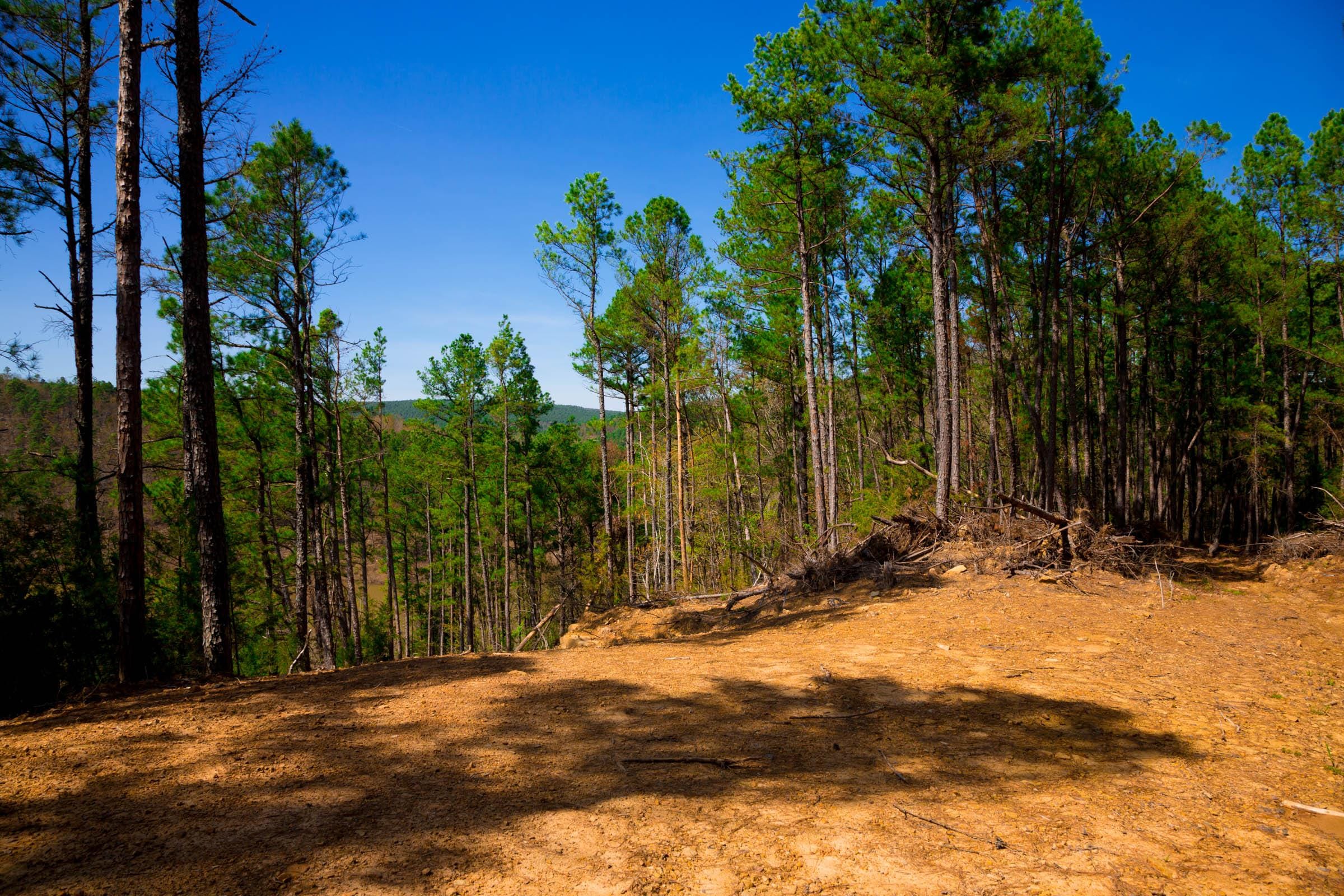 Stone Creek Phase II Tract 223 photo 18