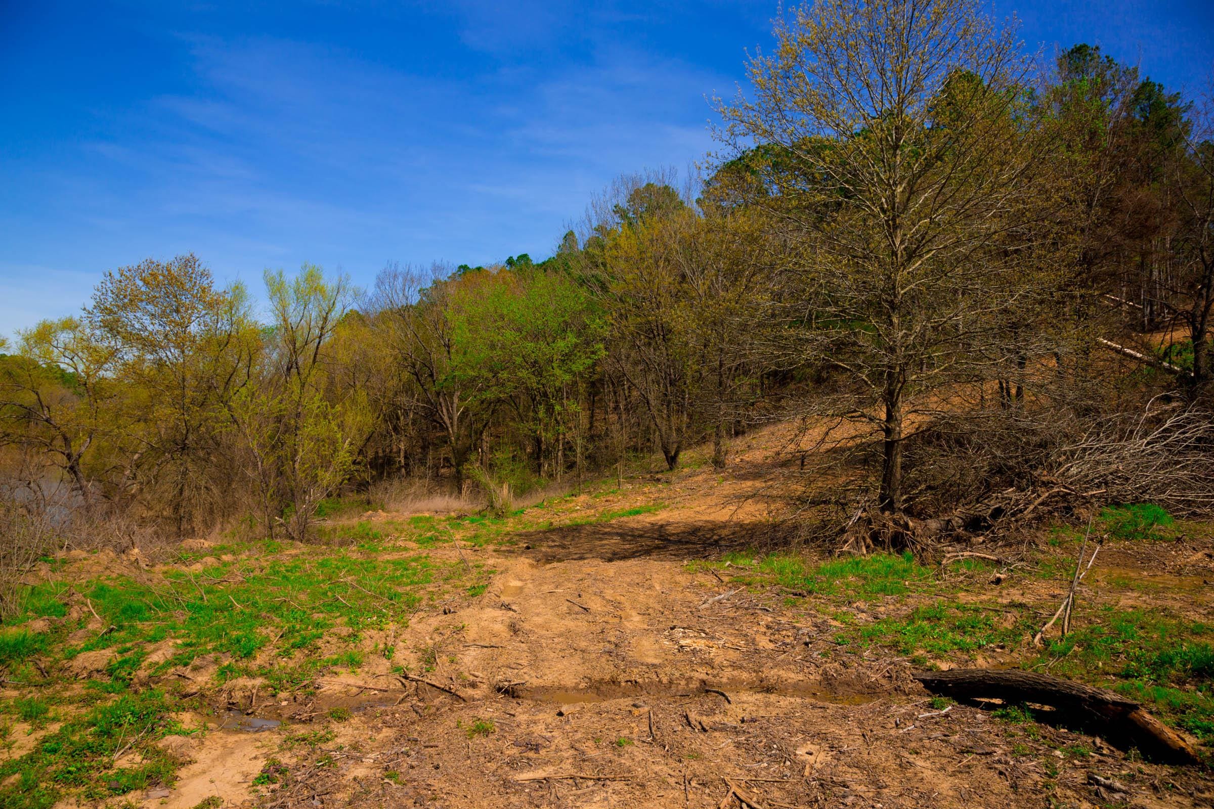 Stone Creek Phase II Tract 223 photo 19