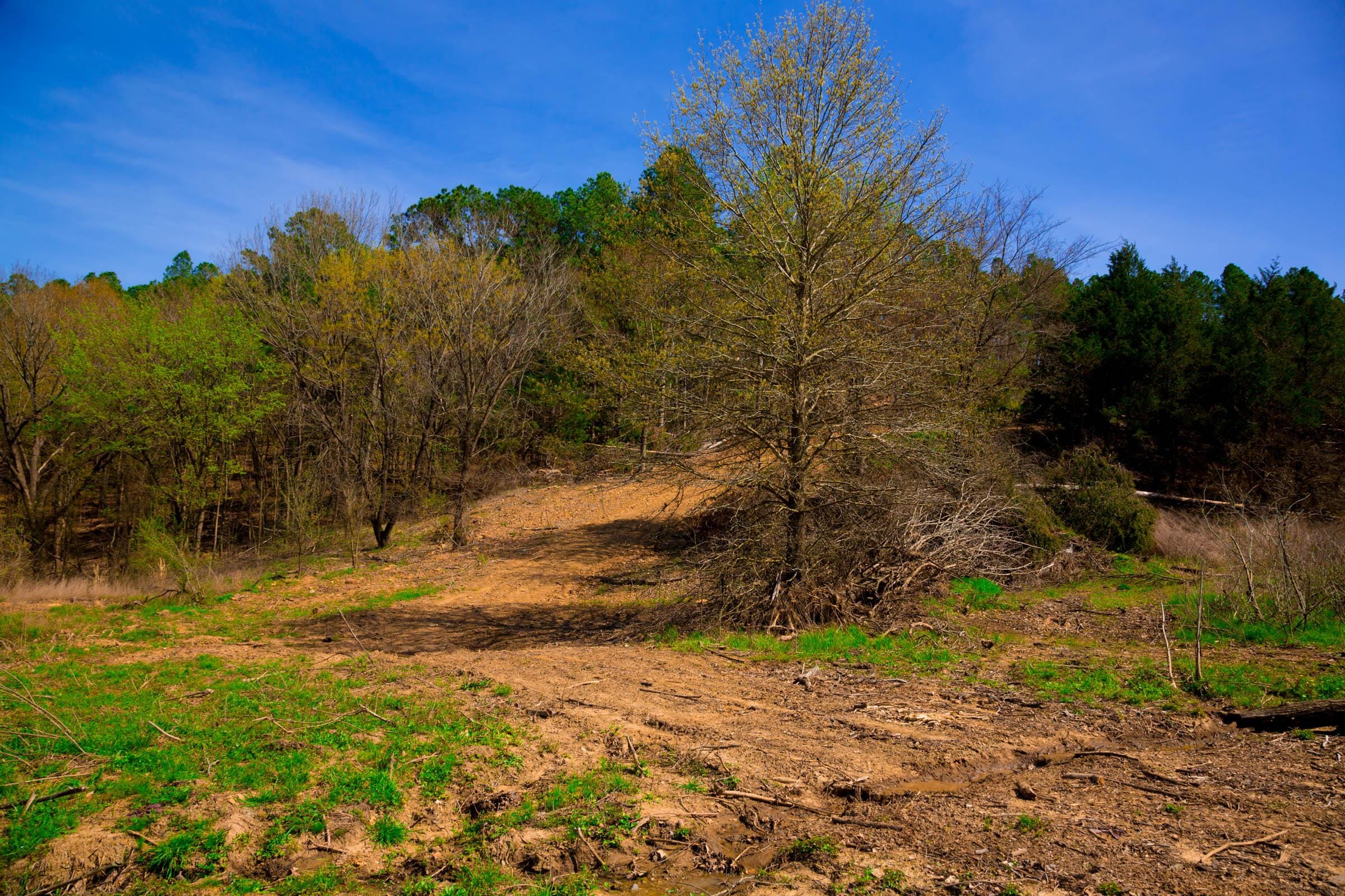 Stone Creek Phase II Tract 223 photo 2