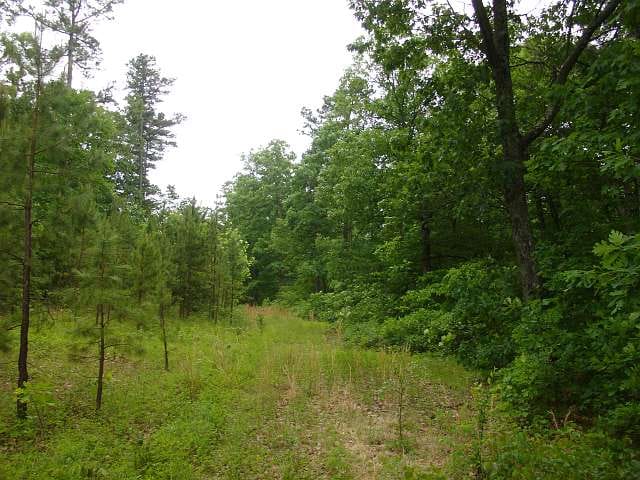 Indian Creek Tract 2 photo 4