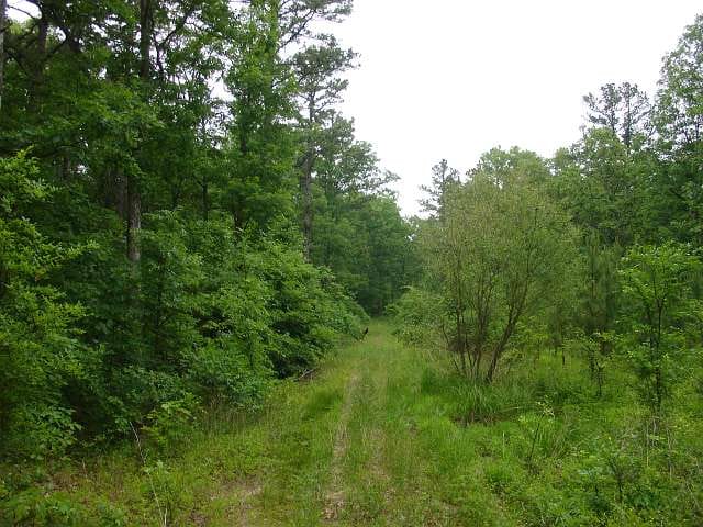Indian Creek Tract 2 photo 1
