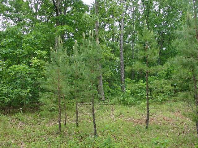 Indian Creek Tract 2 photo 2