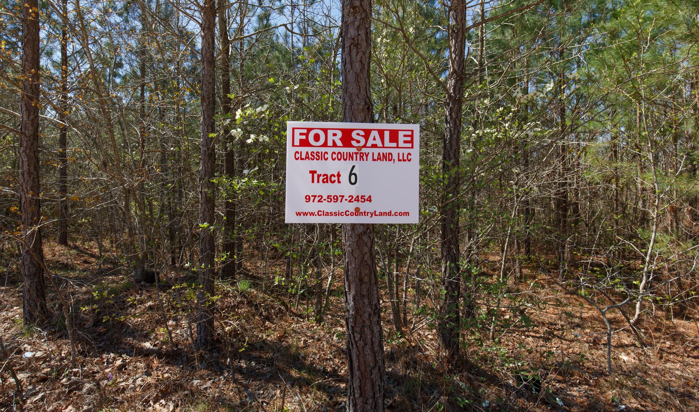 Southern Hills Tract 6 photo 1