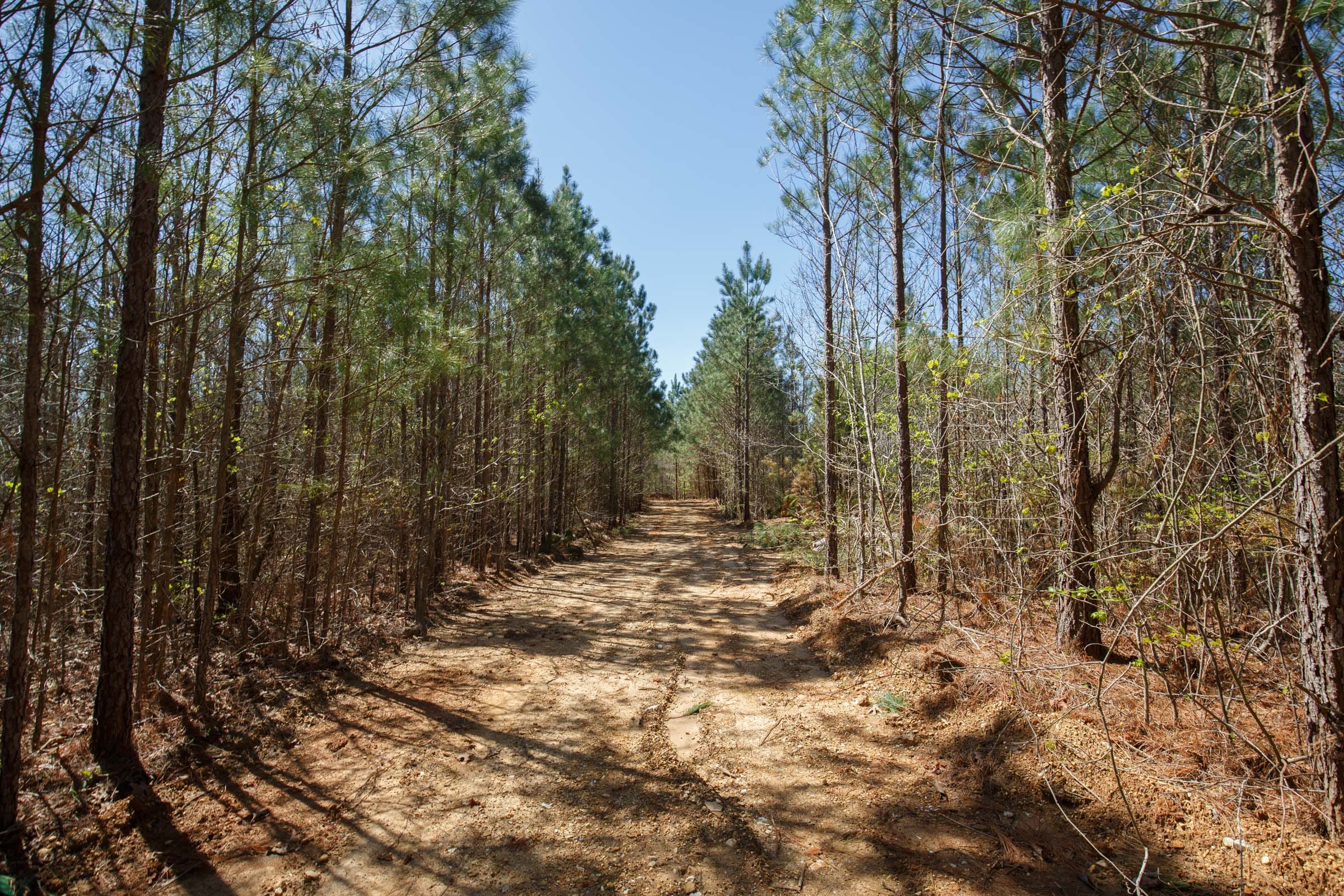 Southern Hills Tract 6 photo 2