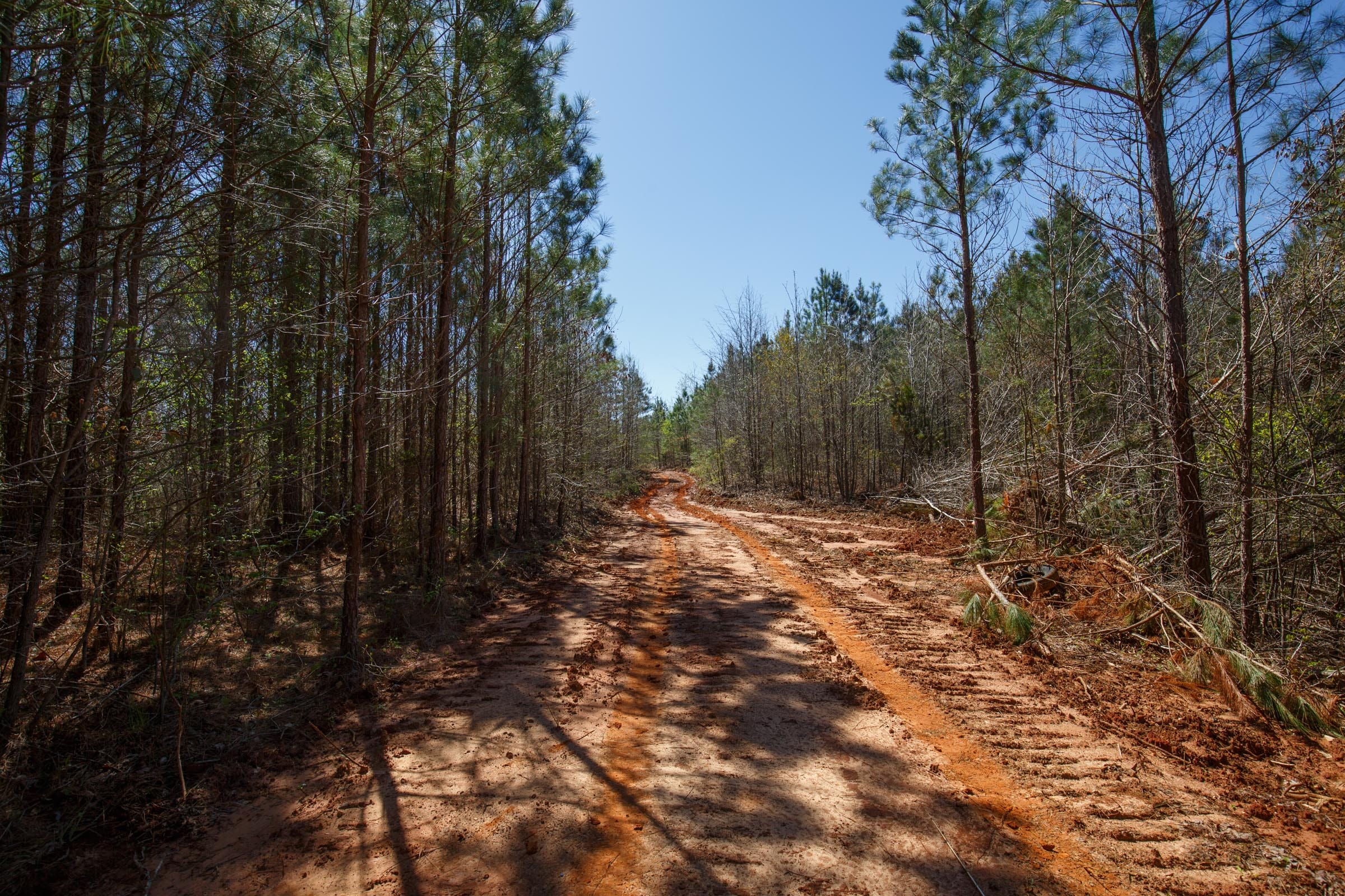 Southern Hills Tract 6 photo 6