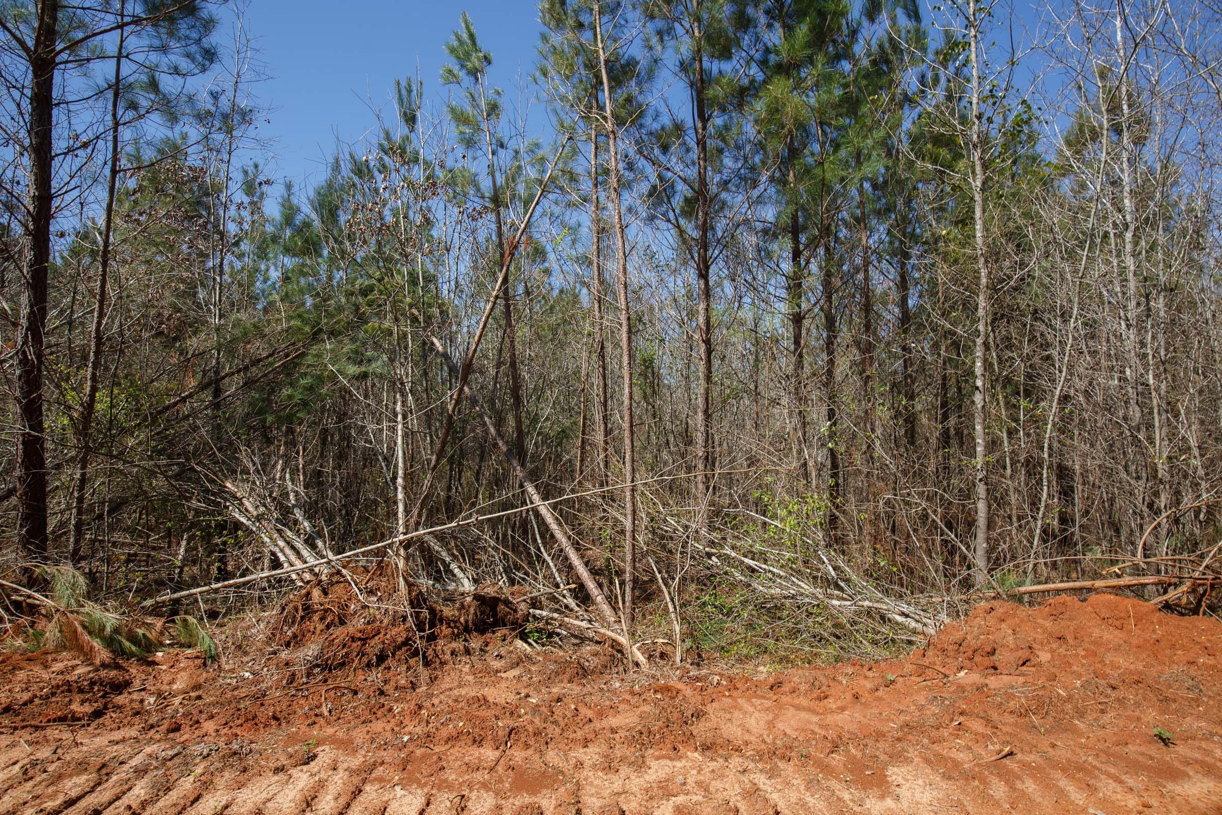 Southern Hills Tract 6 photo 7