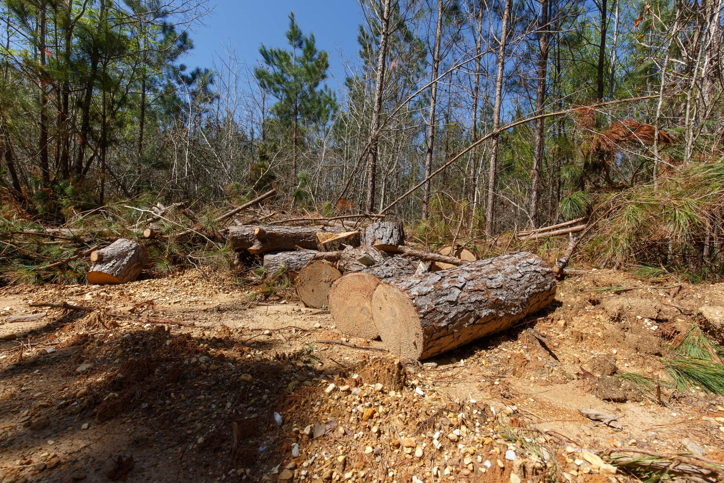 Southern Hills Tract 6 photo 15